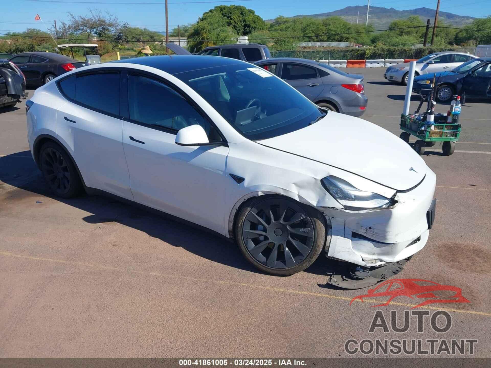 TESLA MODEL Y 2021 - 5YJYGAEE3MF194197