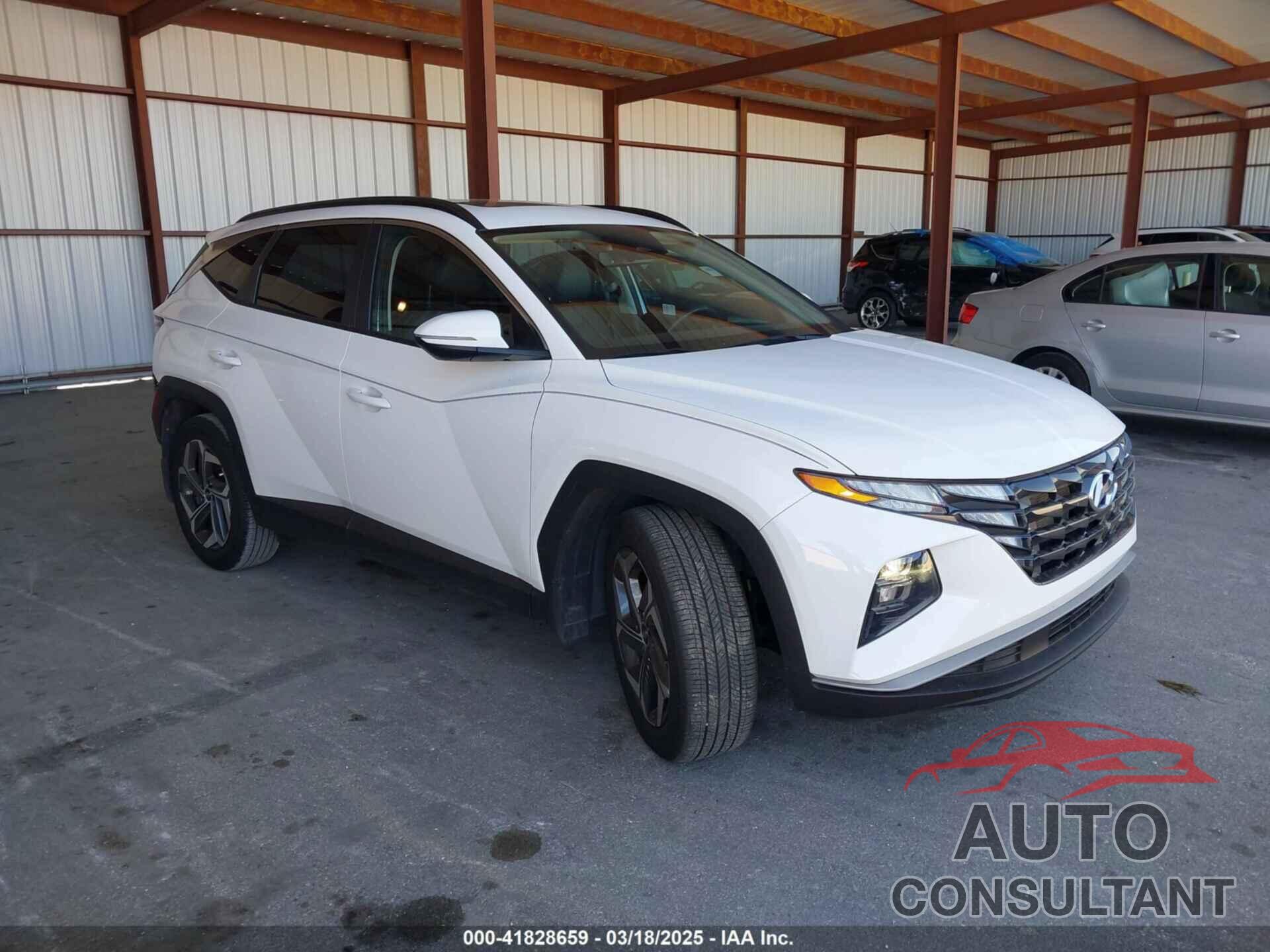 HYUNDAI TUCSON 2024 - 5NMJF3DE7RH397066