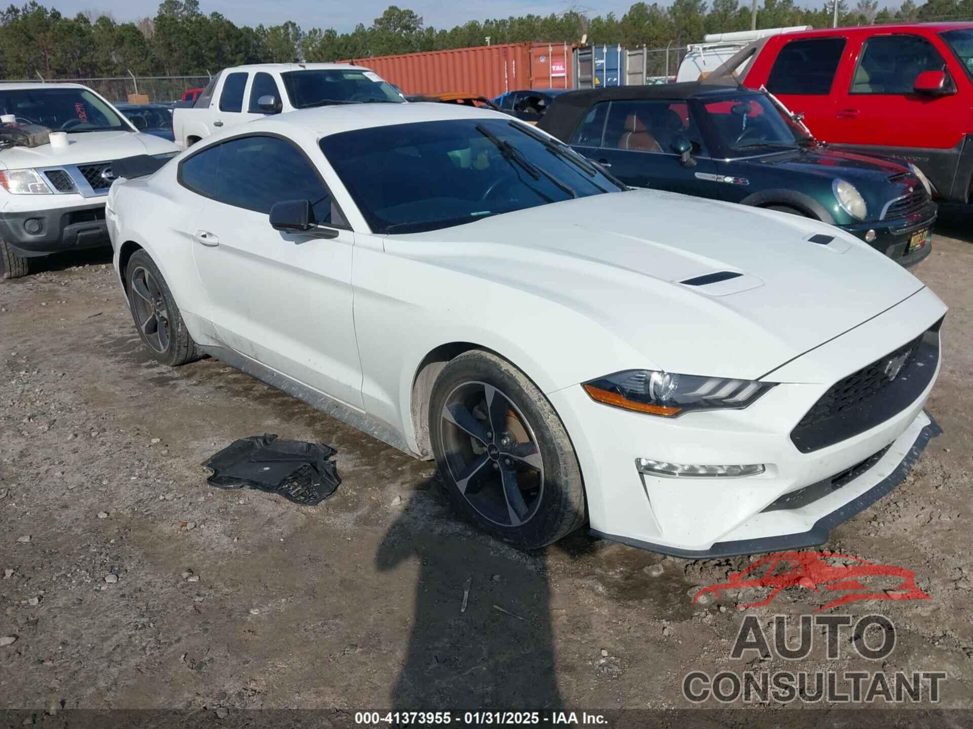 FORD MUSTANG 2019 - 1FA6P8TH3K5167261