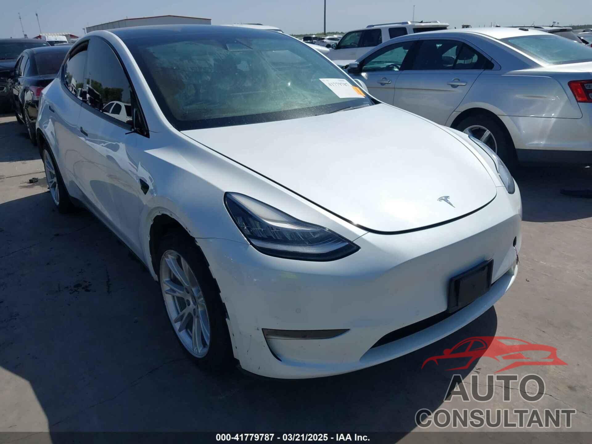 TESLA MODEL Y 2021 - 5YJYGDEE8MF069679