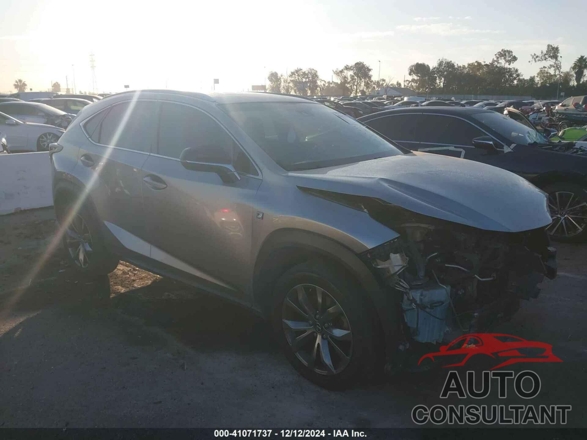 LEXUS NX 300 2019 - JTJYARBZ8K2138230