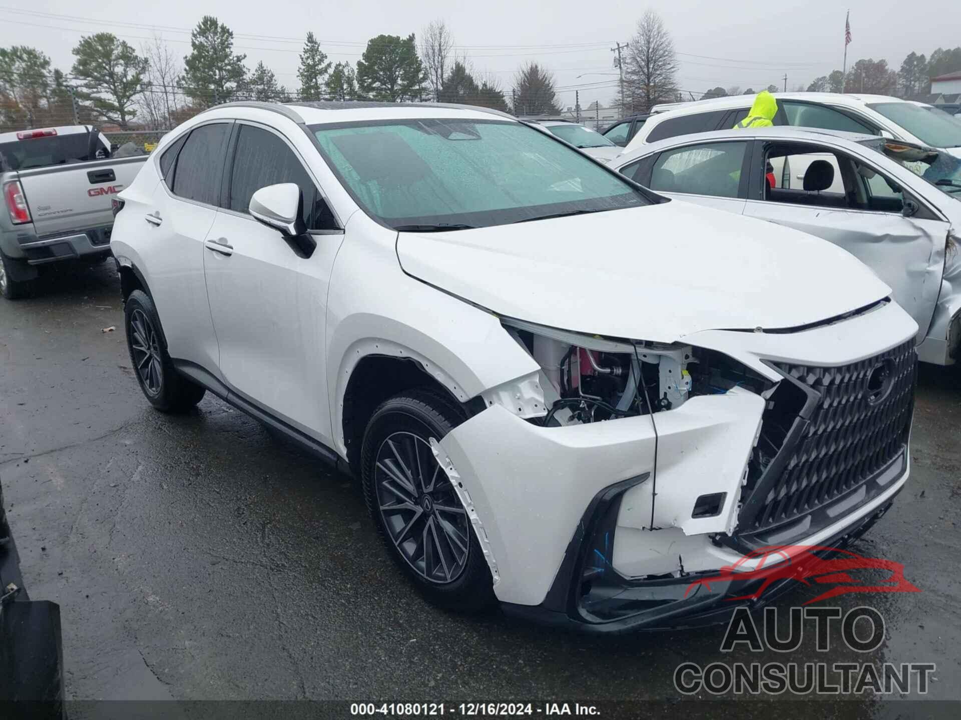 LEXUS NX 350H 2024 - 2T2AKCEZ4RC029359