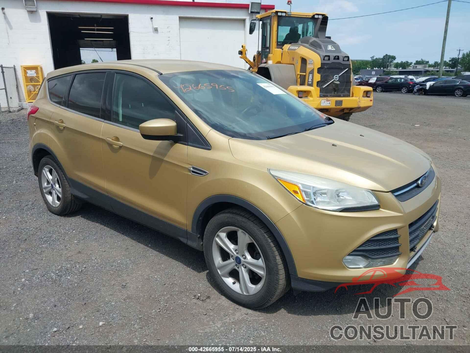 FORD ESCAPE 2014 - 1FMCU0GX0EUB95954