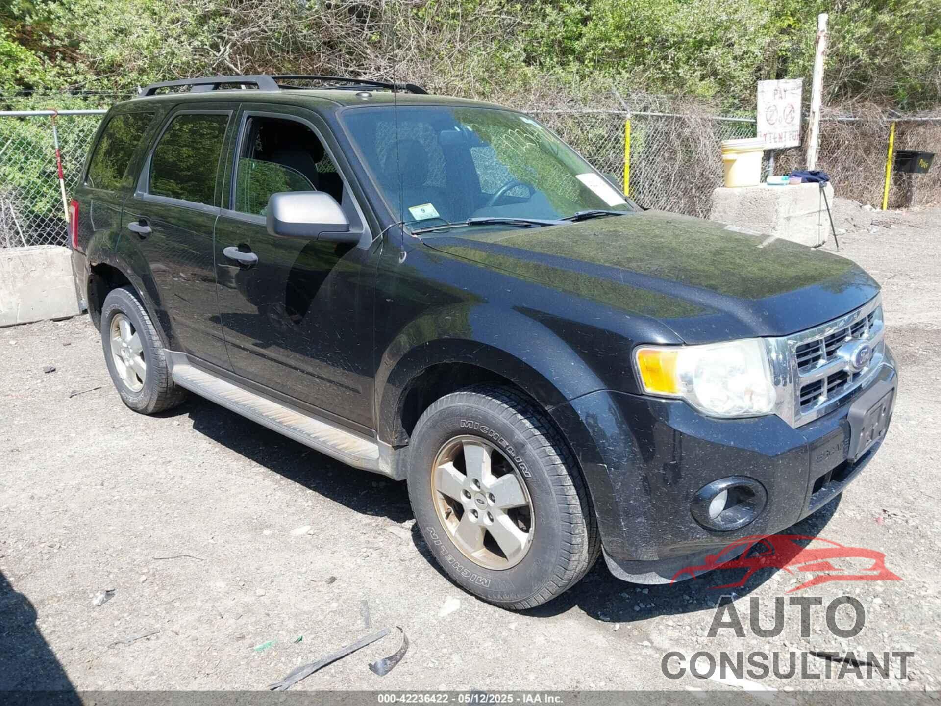 FORD ESCAPE 2011 - 1FMCU9DG3BKB76329