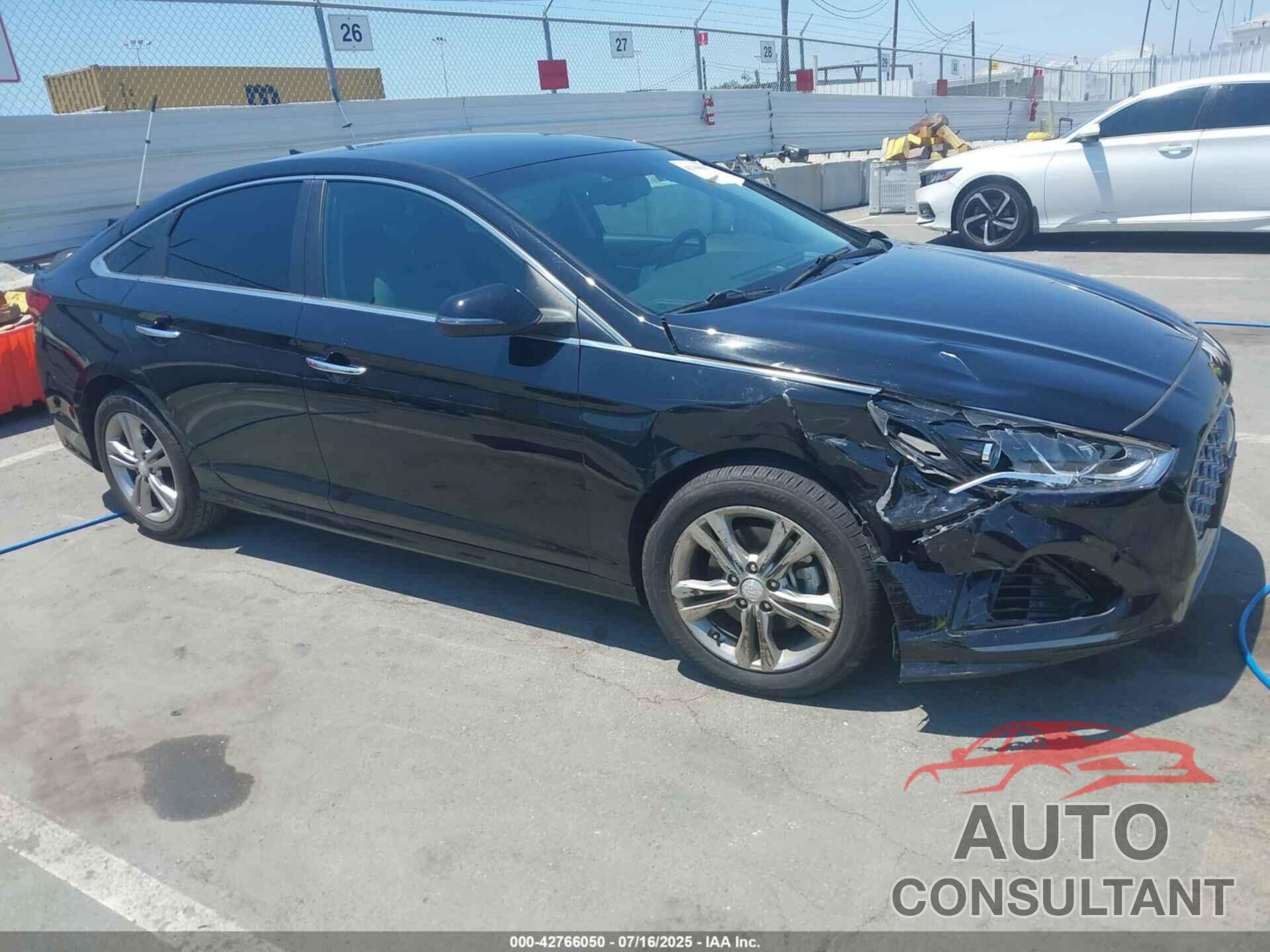 HYUNDAI SONATA 2019 - 5NPE34AF2KH768981