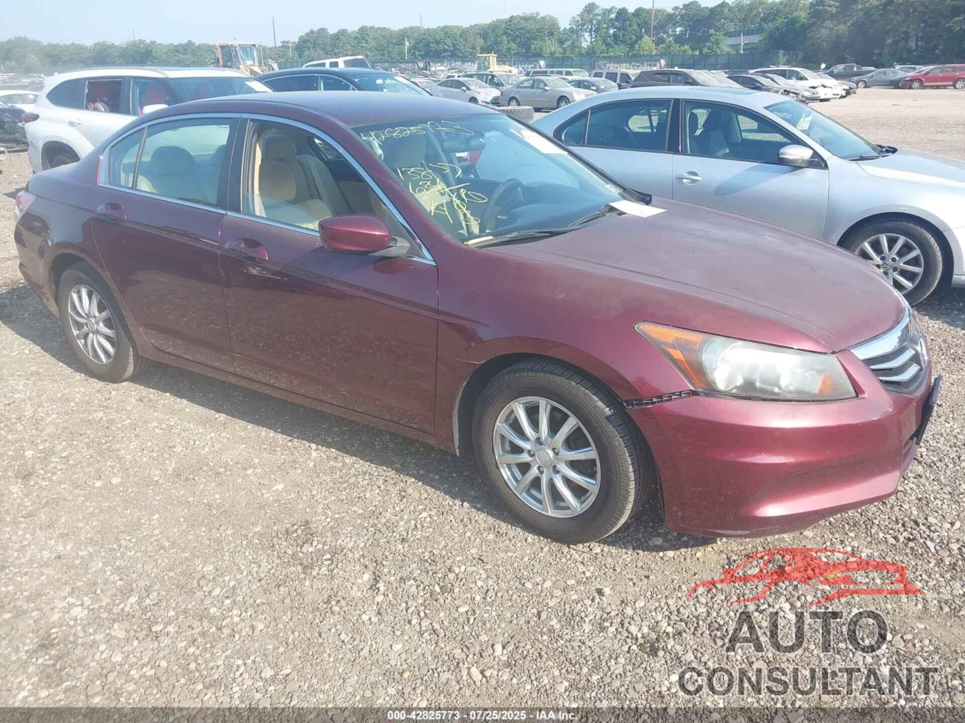HONDA ACCORD 2011 - 1HGCP2F30BA055729