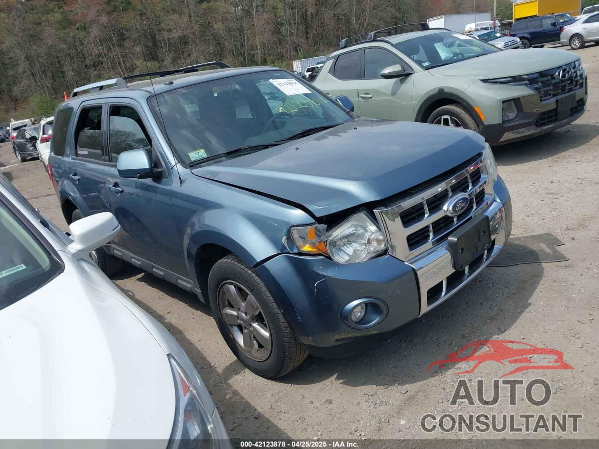 FORD ESCAPE 2010 - 1FMCU9EG1AKB75810