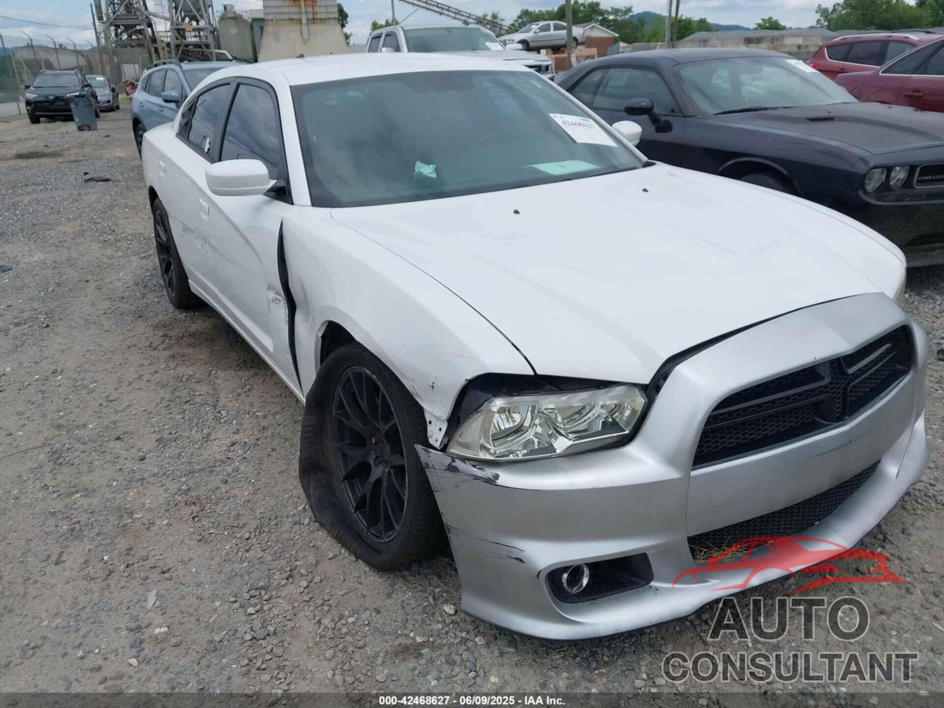 DODGE CHARGER 2014 - 2C3CDXAT7EH350316