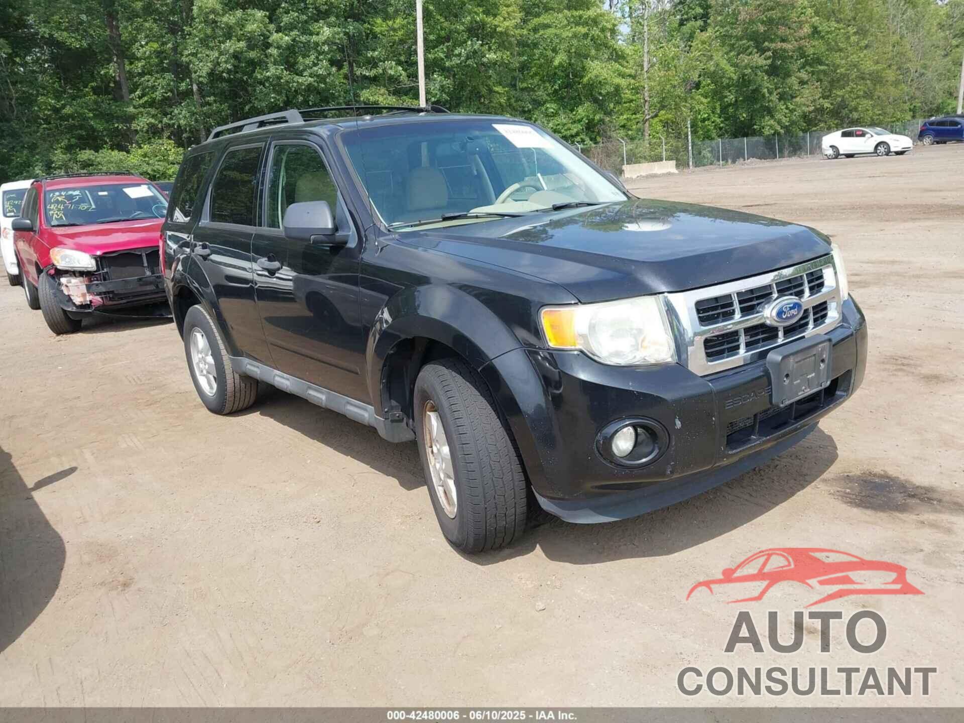 FORD ESCAPE 2011 - 1FMCU0DG6BKB19733