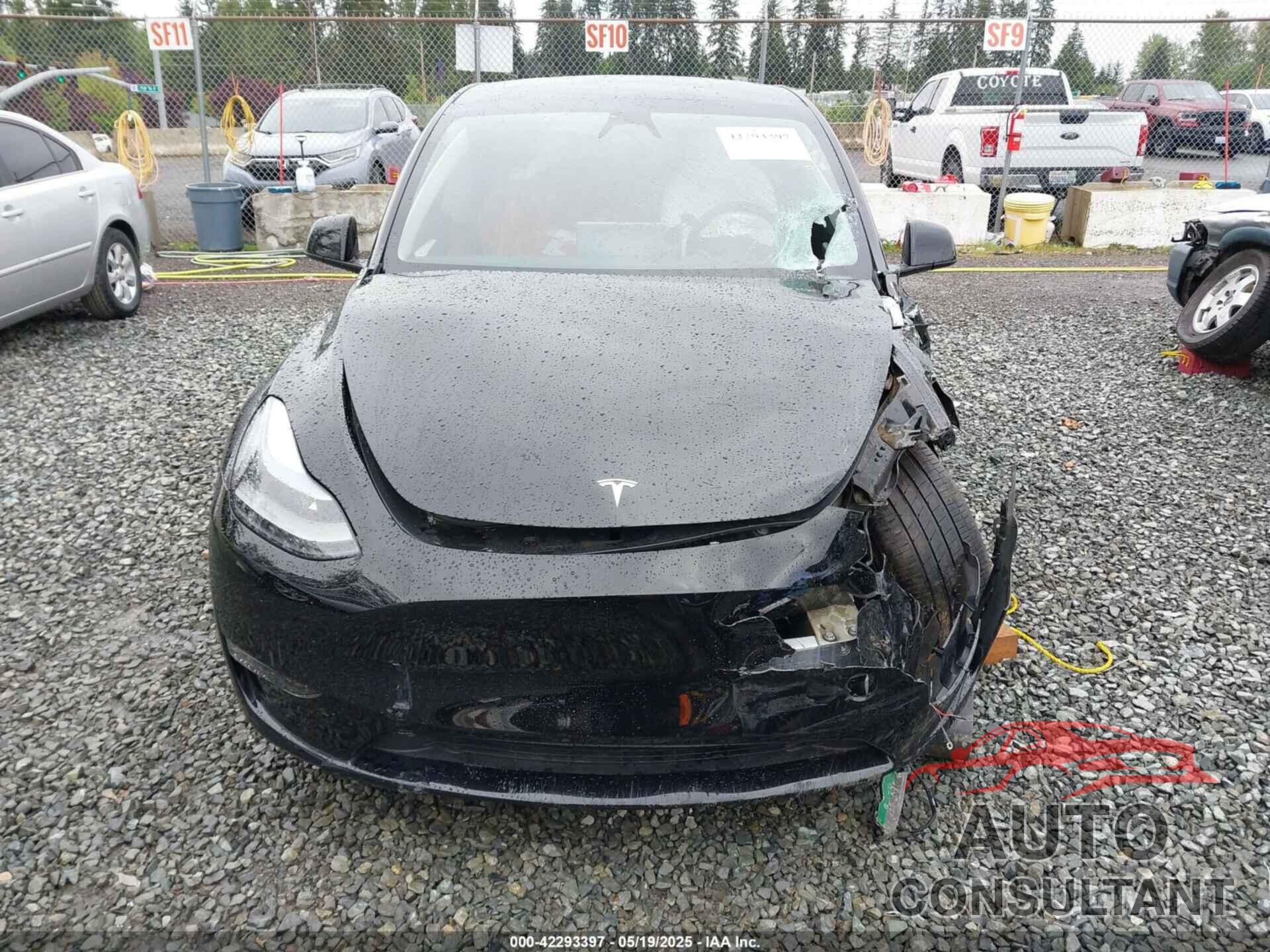 TESLA MODEL Y 2024 - 7SAYGDEE1RF033066