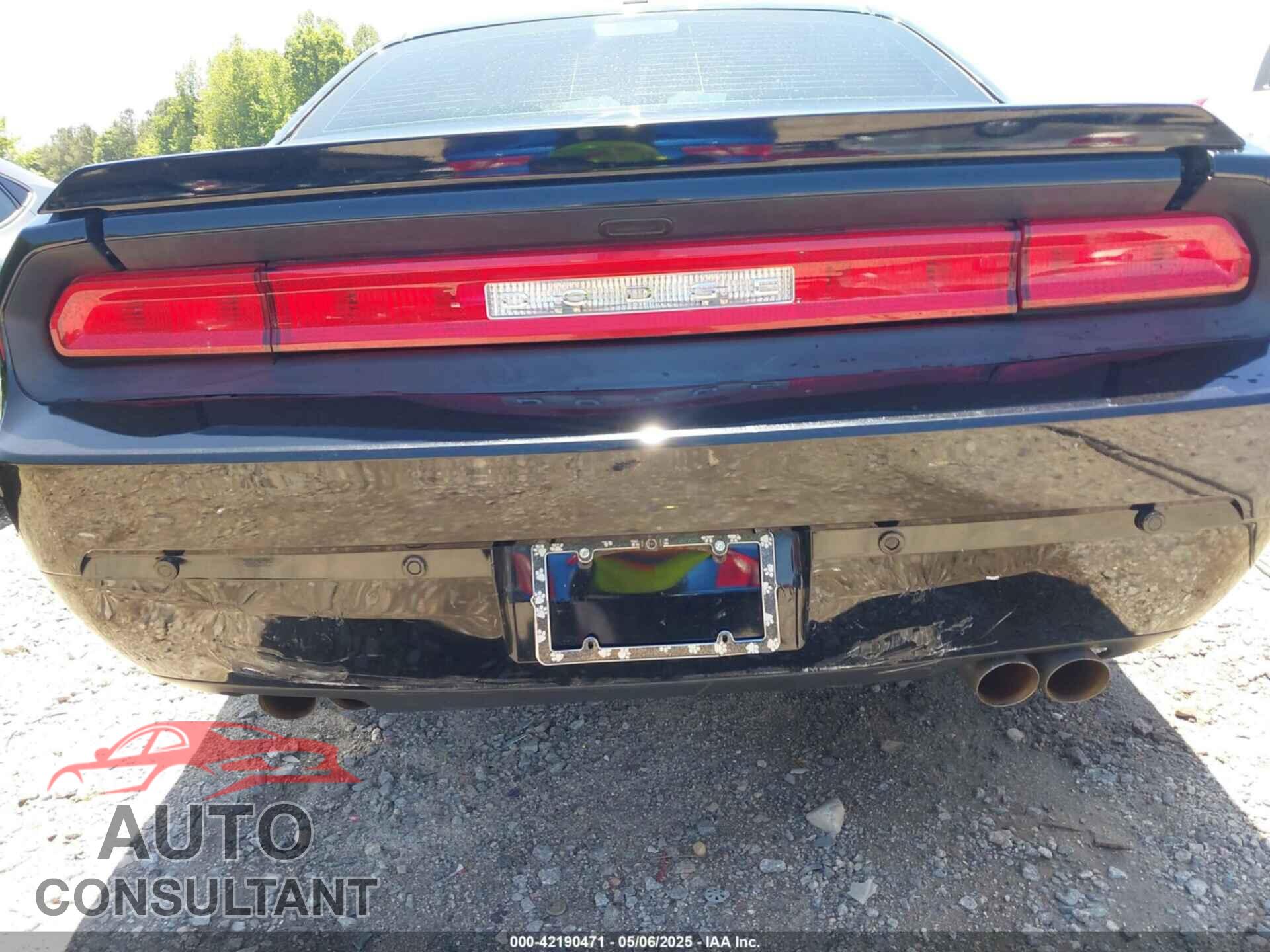 DODGE CHALLENGER 2013 - 2C3CDYAG2DH674815