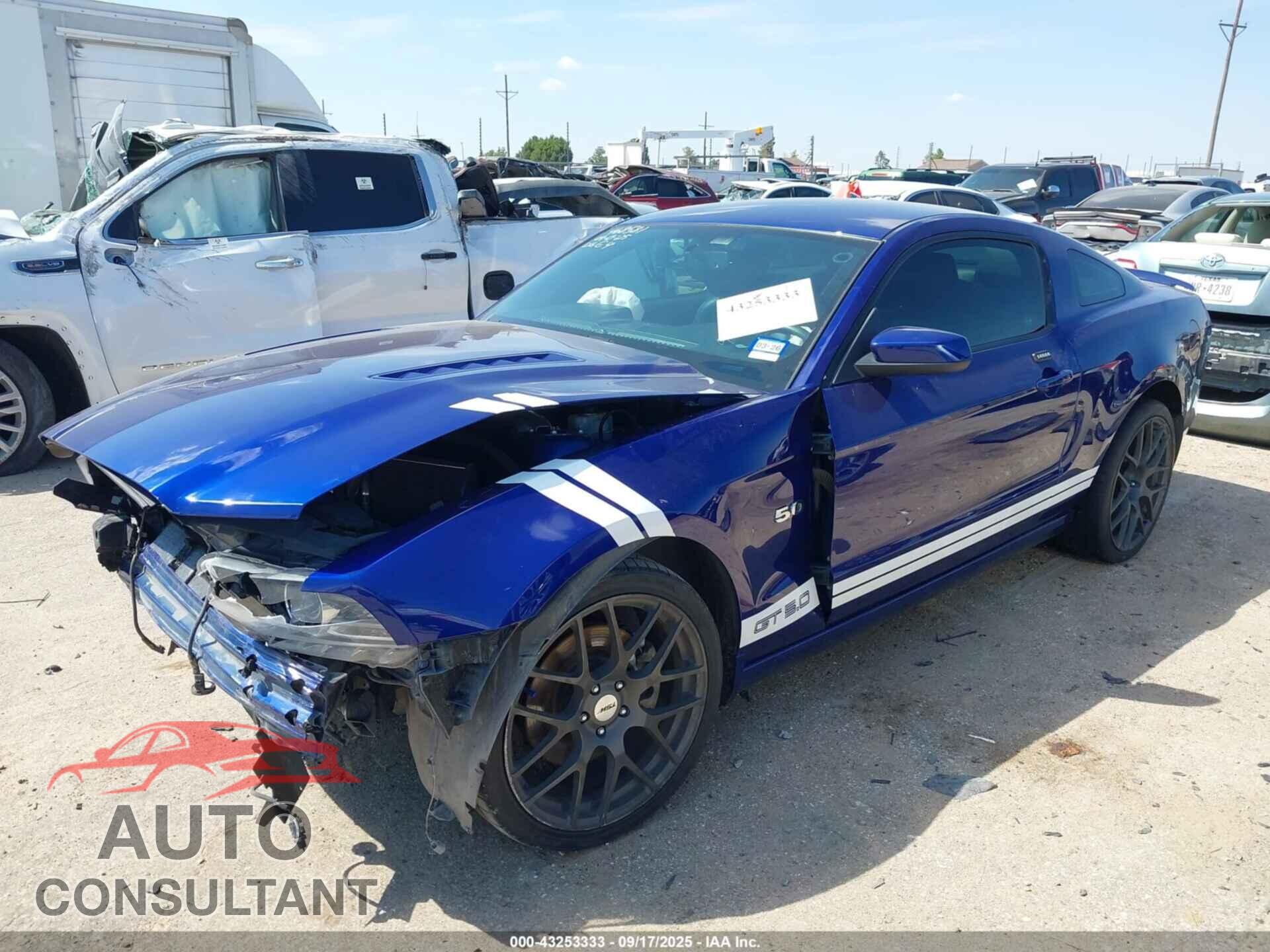 FORD MUSTANG 2013 - 1ZVBP8CF8D5266911