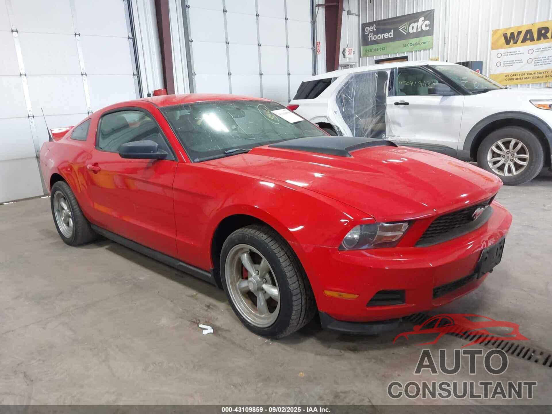 FORD MUSTANG 2011 - 1ZVBP8AM9B5138868