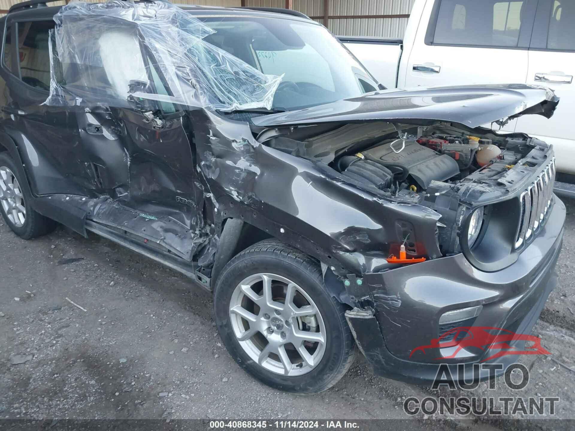 JEEP RENEGADE 2019 - ZACNJABB9KPK91356