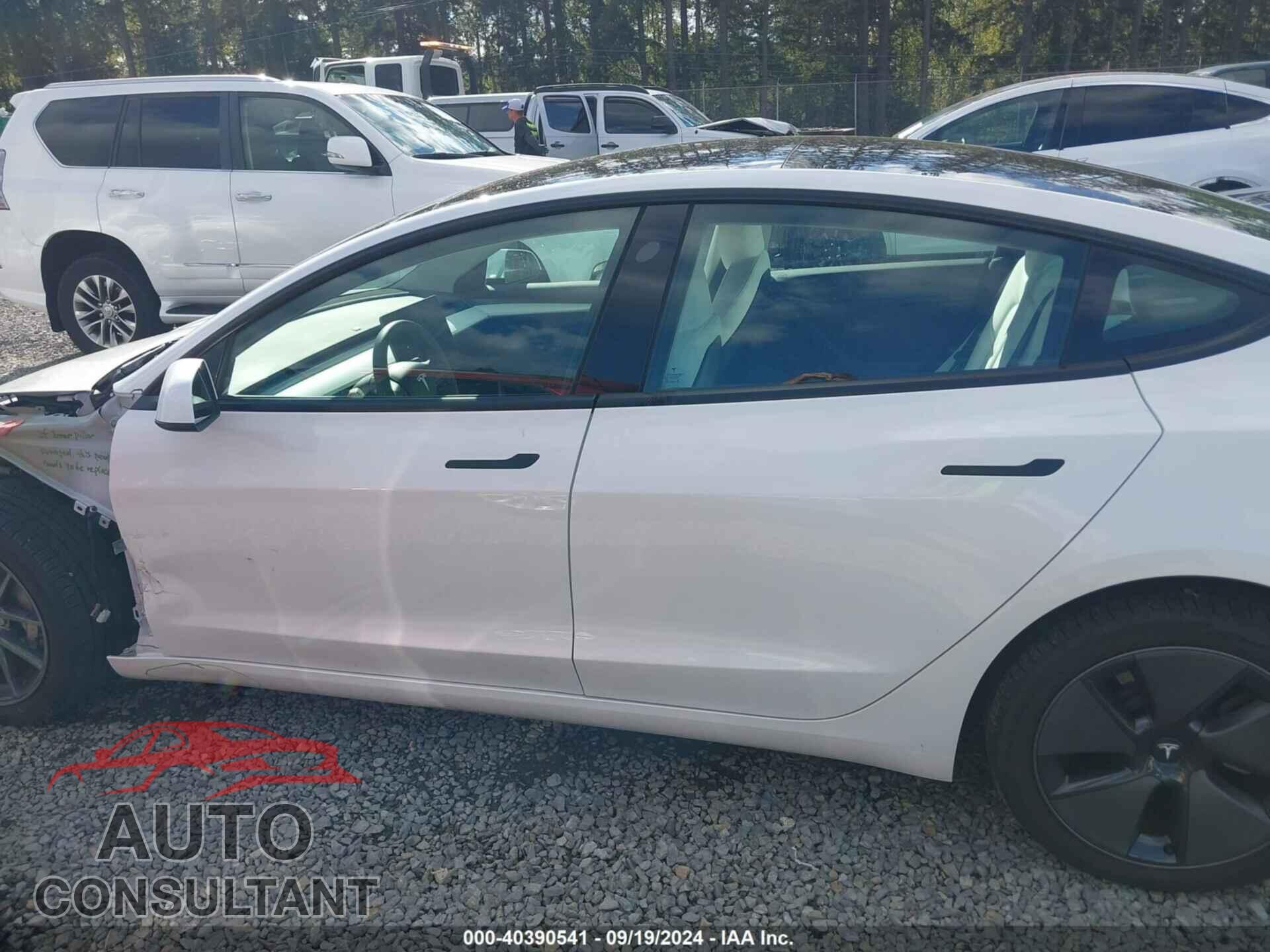 TESLA MODEL 3 2023 - 5YJ3E1EA6PF566665