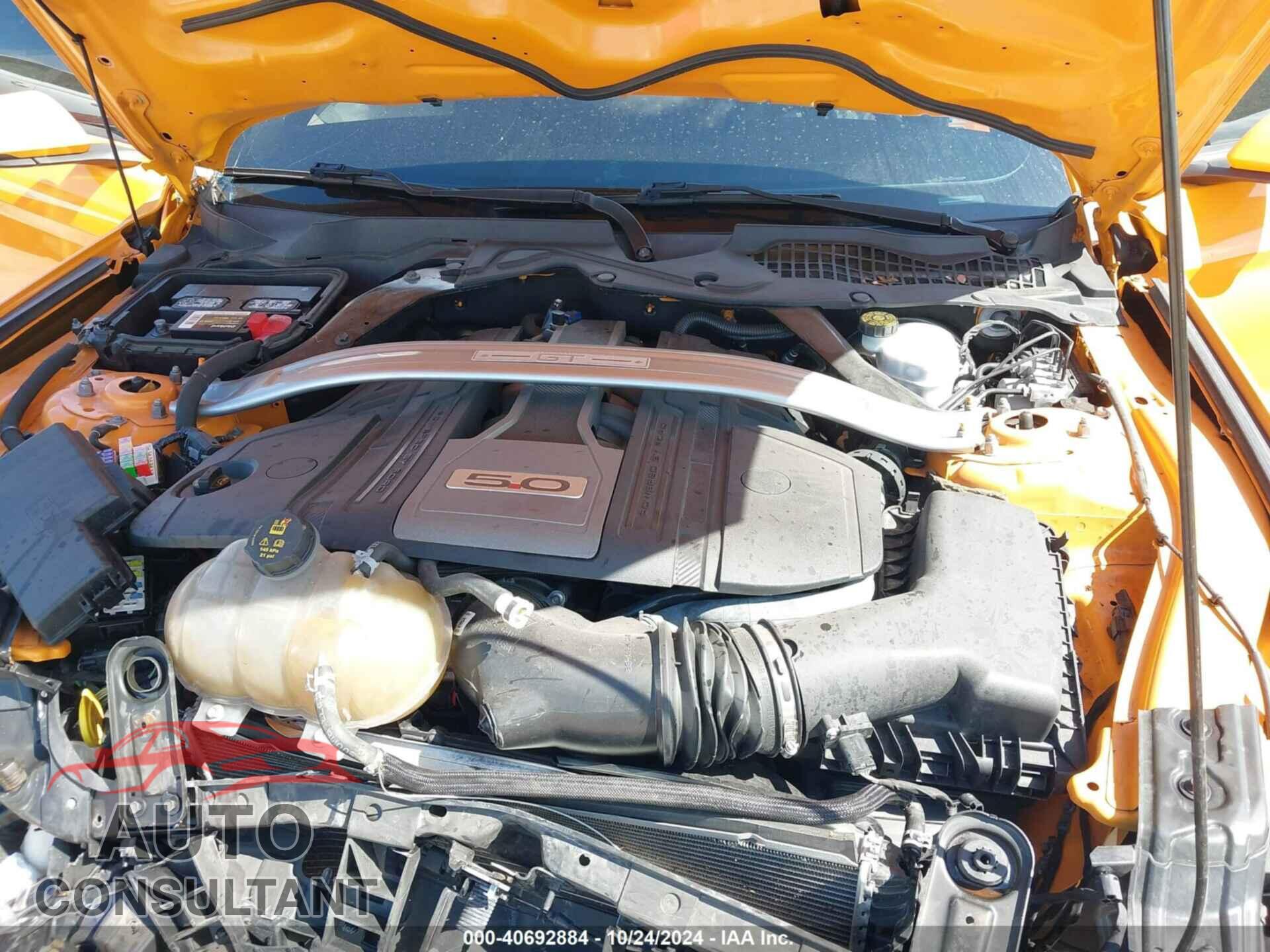 FORD MUSTANG 2019 - 1FA6P8CF1K5120258