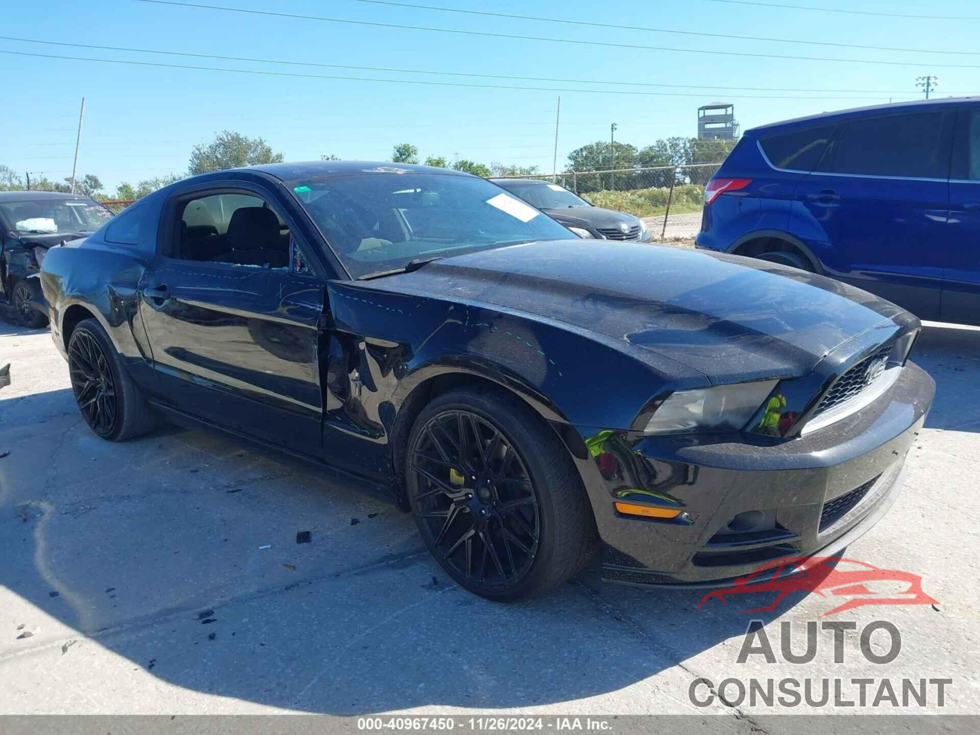 FORD MUSTANG 2014 - 1ZVBP8AMXE5319532