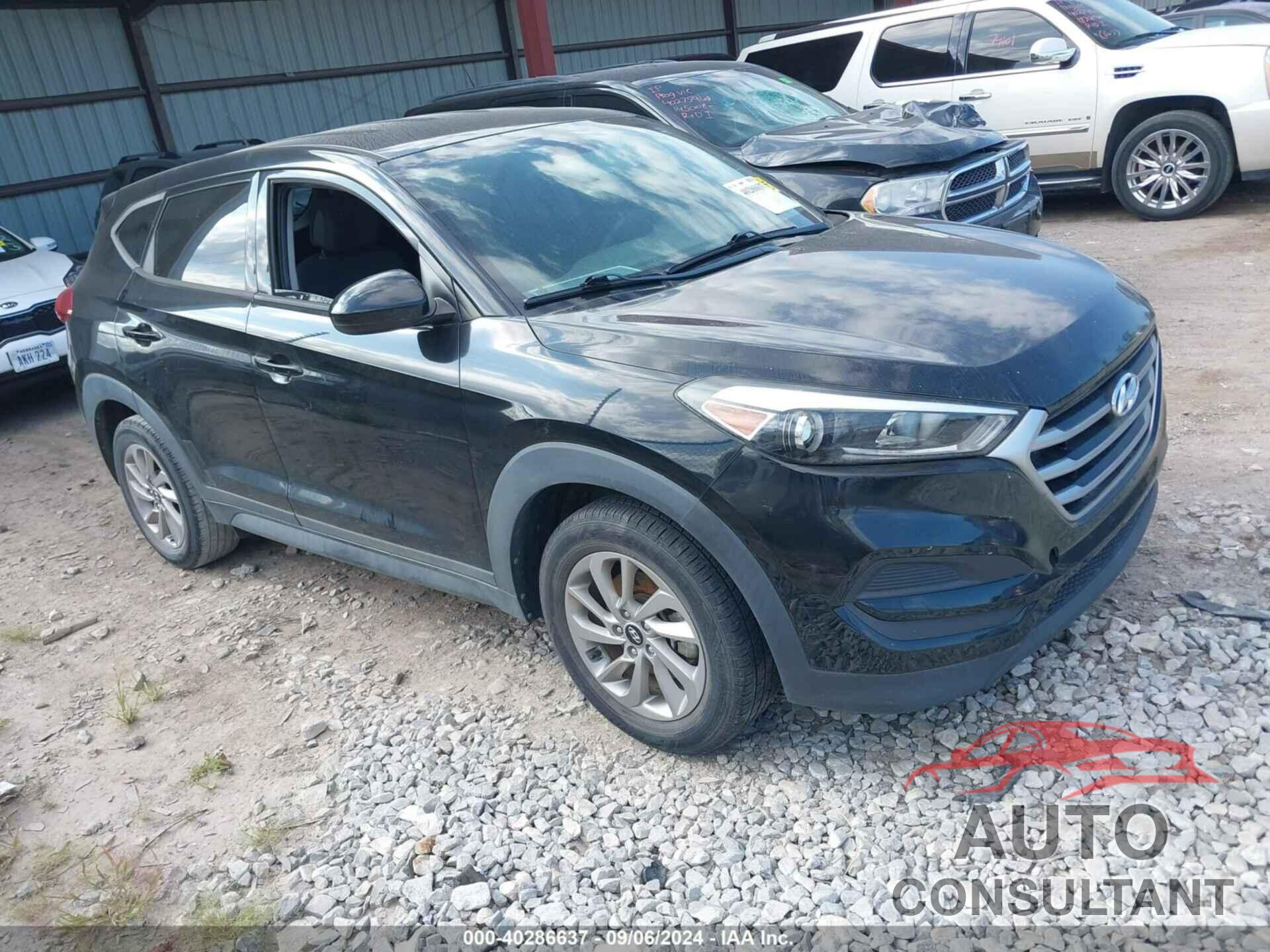 HYUNDAI TUCSON 2017 - KM8J23A40HU440009