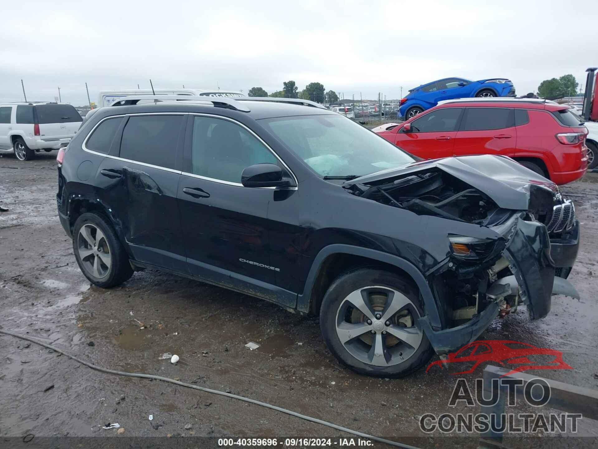 JEEP CHEROKEE 2019 - 1C4PJLDB7KD433822