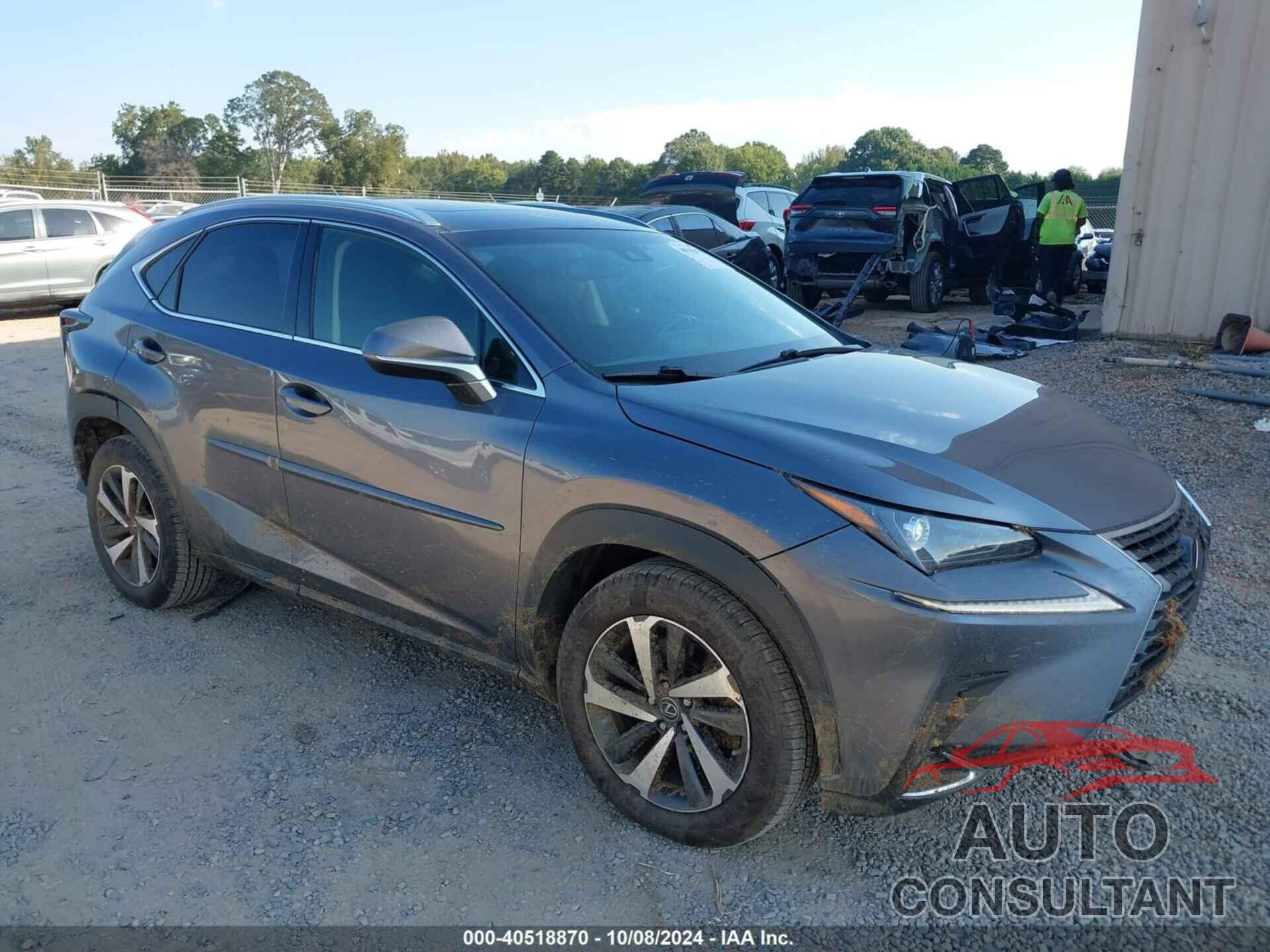 LEXUS NX 2019 - JTJBARBZ5K2211107