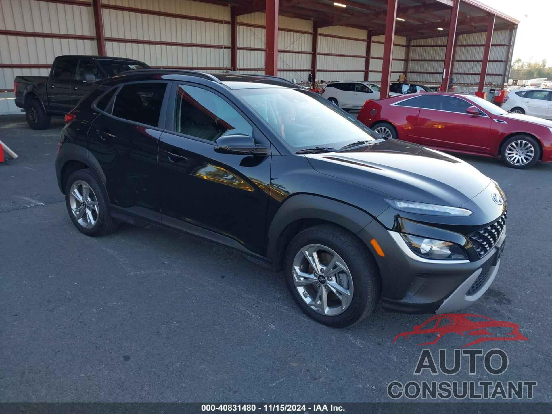 HYUNDAI KONA 2023 - KM8K6CAB6PU934493