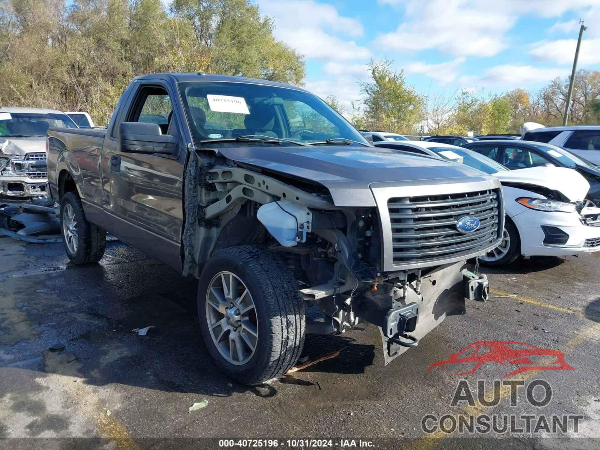 FORD F-150 2014 - 1FTMF1EF8EKE96910