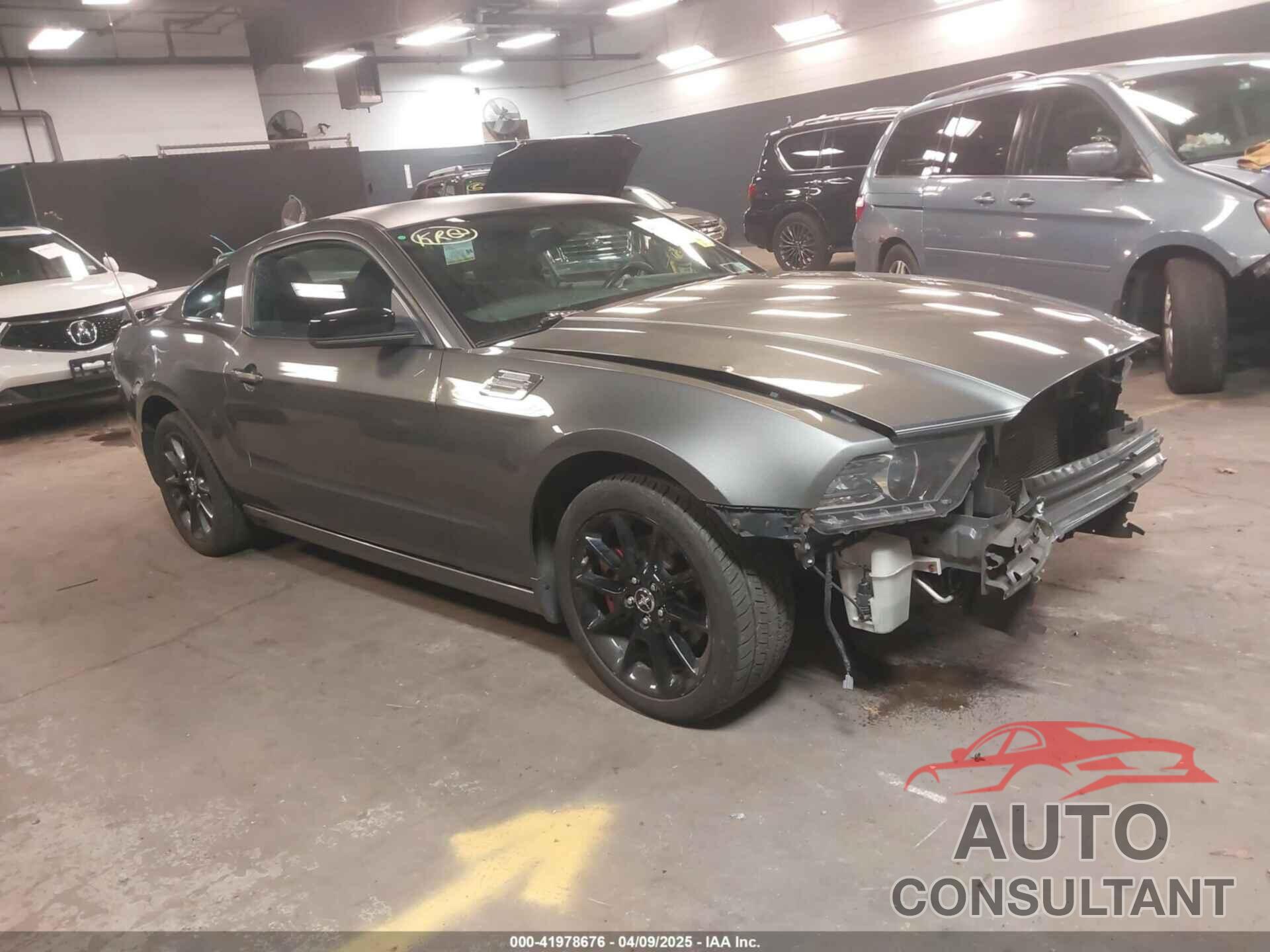 FORD MUSTANG 2013 - 1ZVBP8AM6D5230832