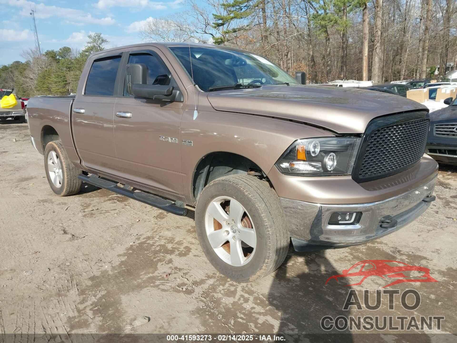 DODGE RAM 1500 2010 - 1D7RB1CTXAS245221
