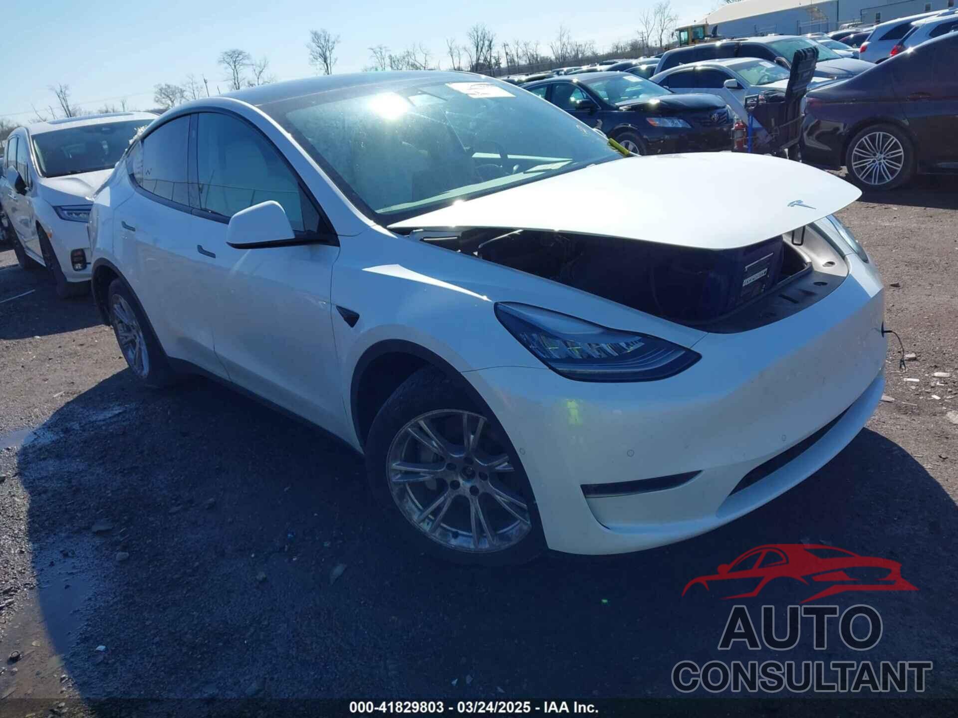 TESLA MODEL Y 2021 - 5YJYGDEEXMF085530