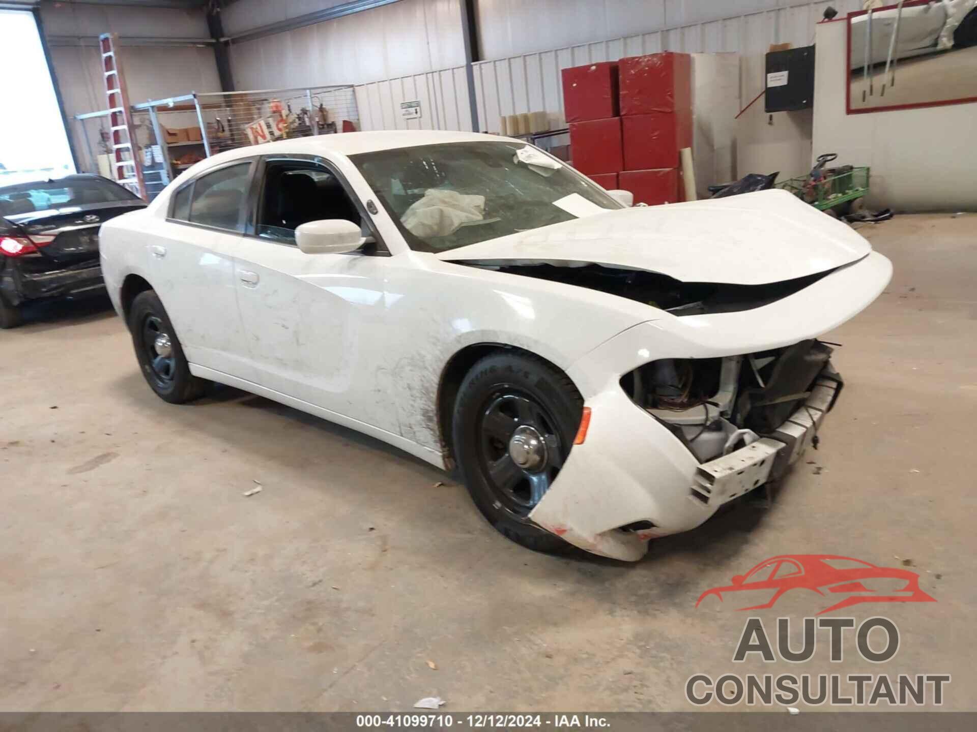 DODGE CHARGER 2019 - 2C3CDXATXKH558458