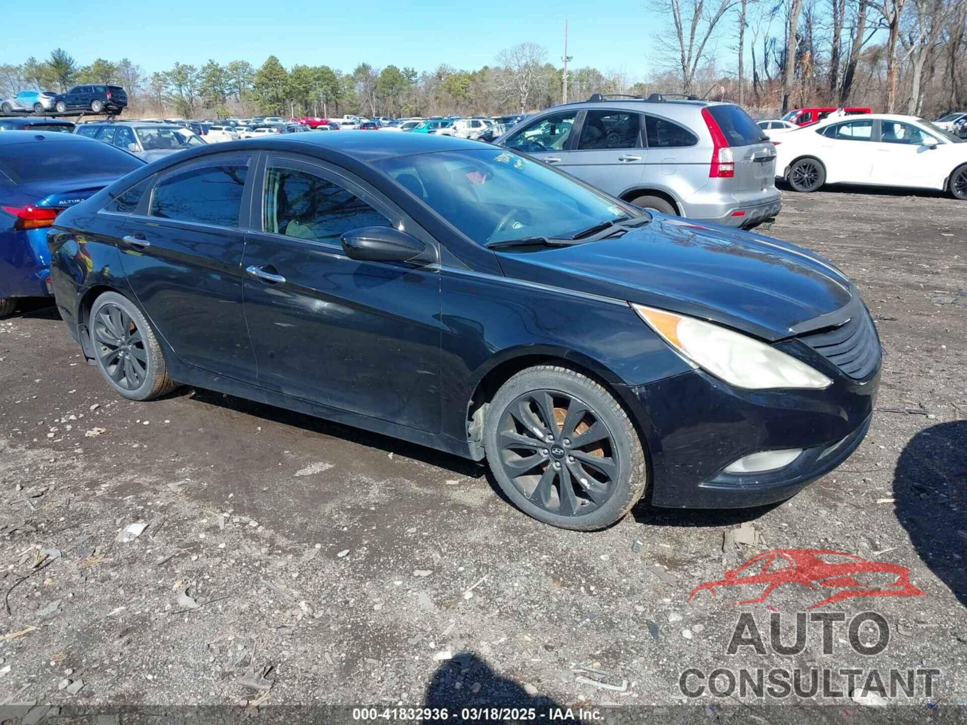 HYUNDAI SONATA 2013 - 5NPEC4AC6DH652692