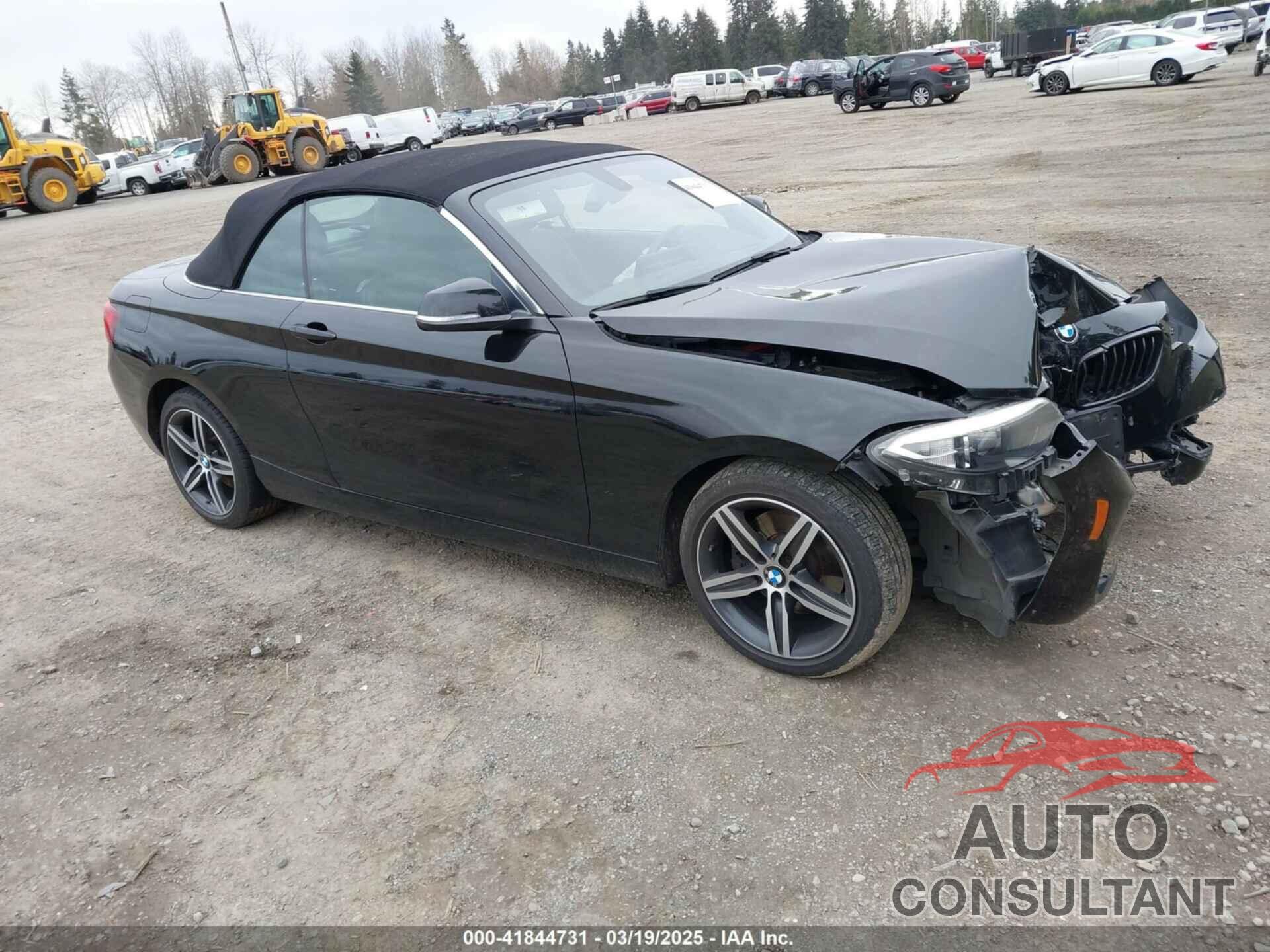 BMW 230I 2017 - WBA2K9C31HV647631