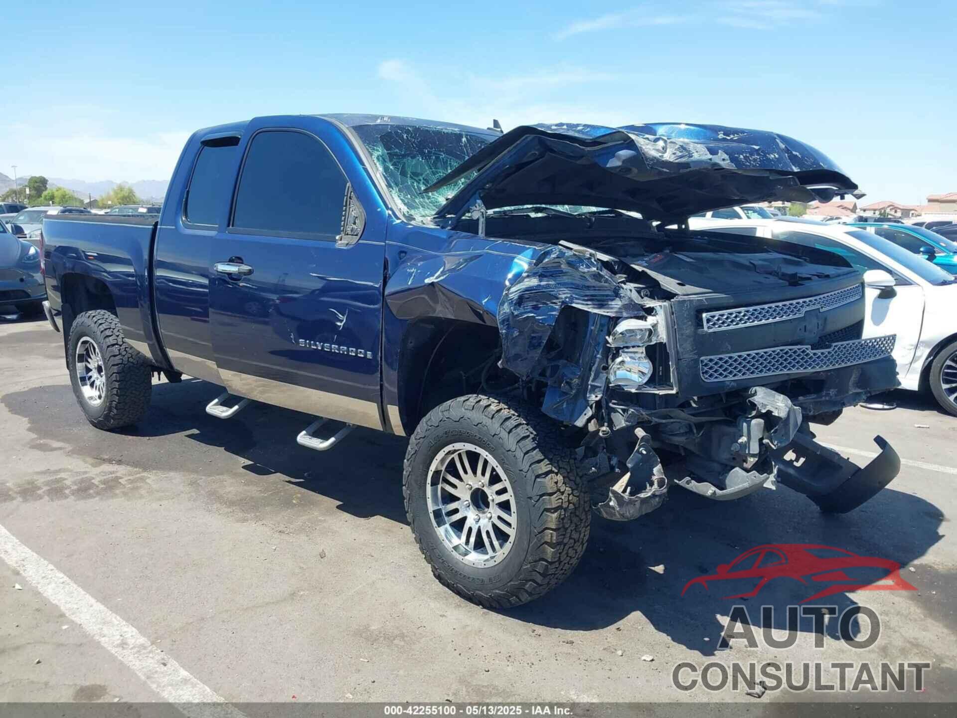 CHEVROLET SILVERADO 1500 2009 - 1GCEC19X19Z184747
