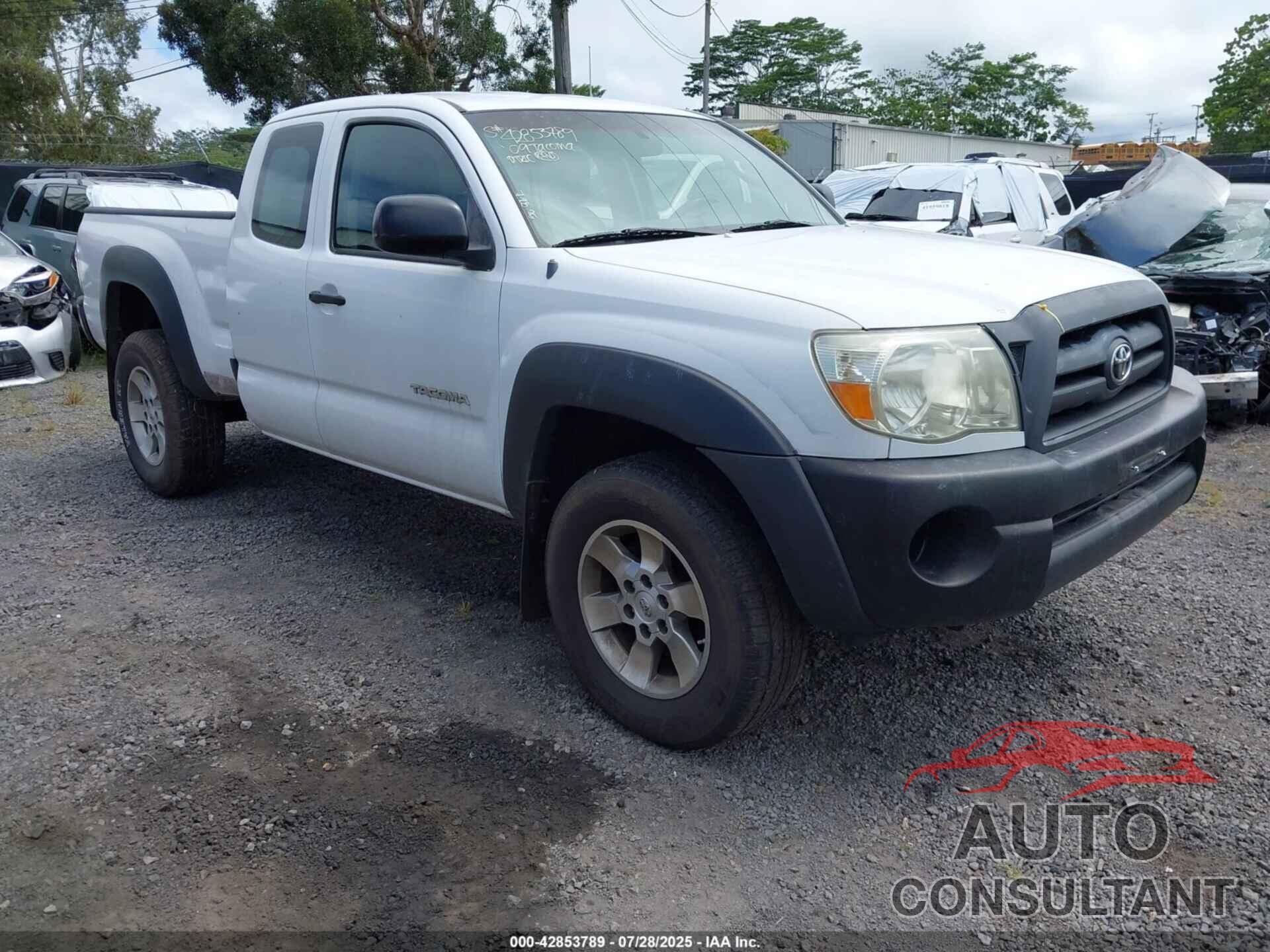 TOYOTA TACOMA 2009 - 5TETU62N09Z602469