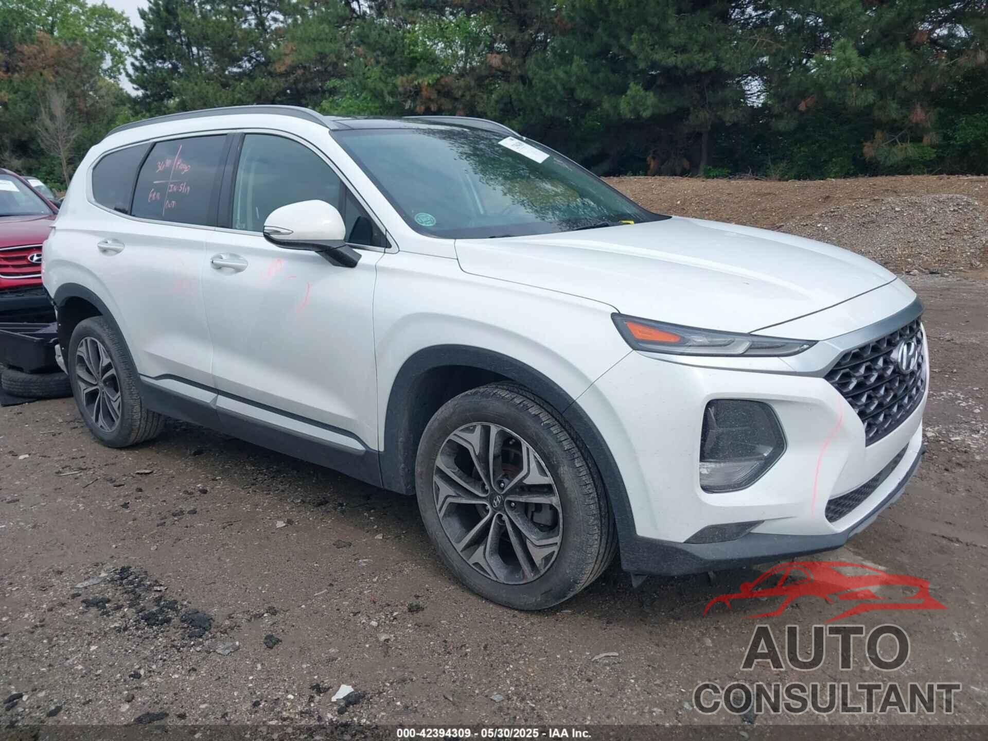 HYUNDAI SANTA FE 2020 - 5NMS3CAA9LH167924