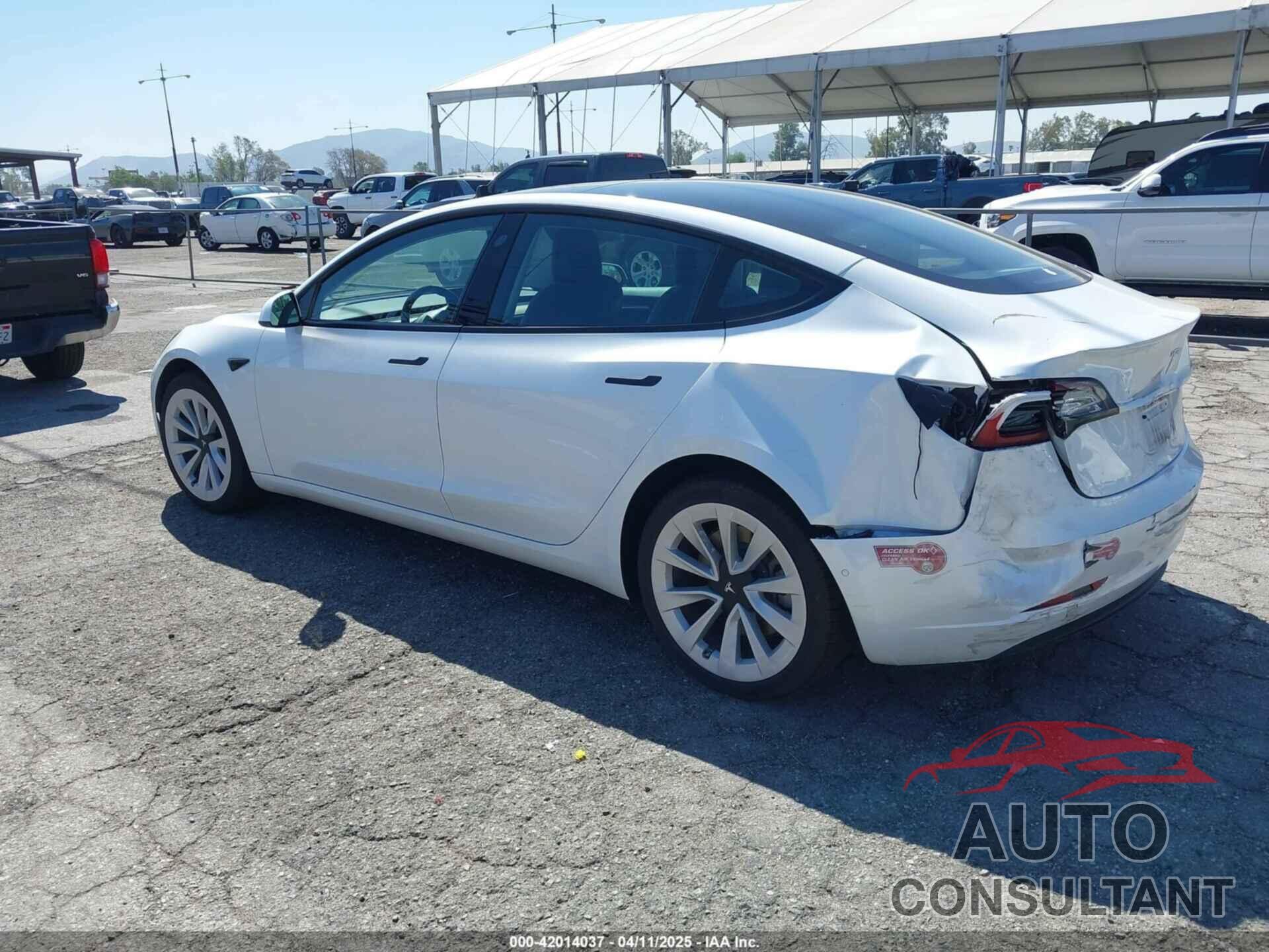 TESLA MODEL 3 2022 - 5YJ3E1EBXNF173967