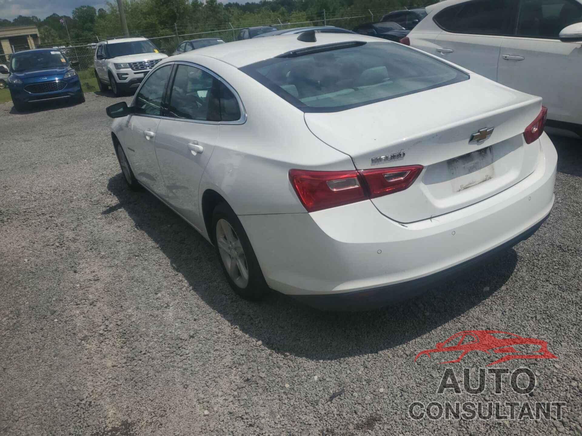 CHEVROLET MALIBU 2020 - 1G1ZC5ST9LF098734