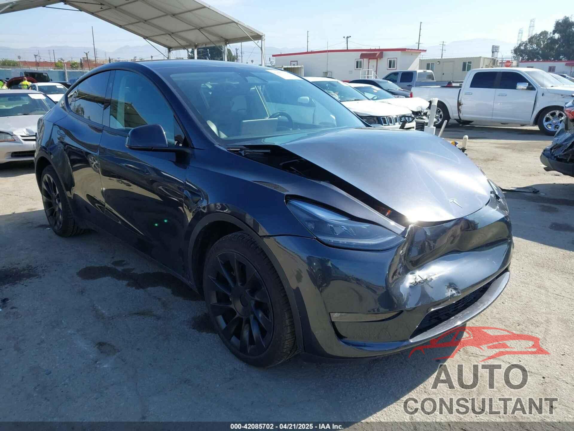 TESLA MODEL Y 2024 - 7SAYGDEEXRF146109