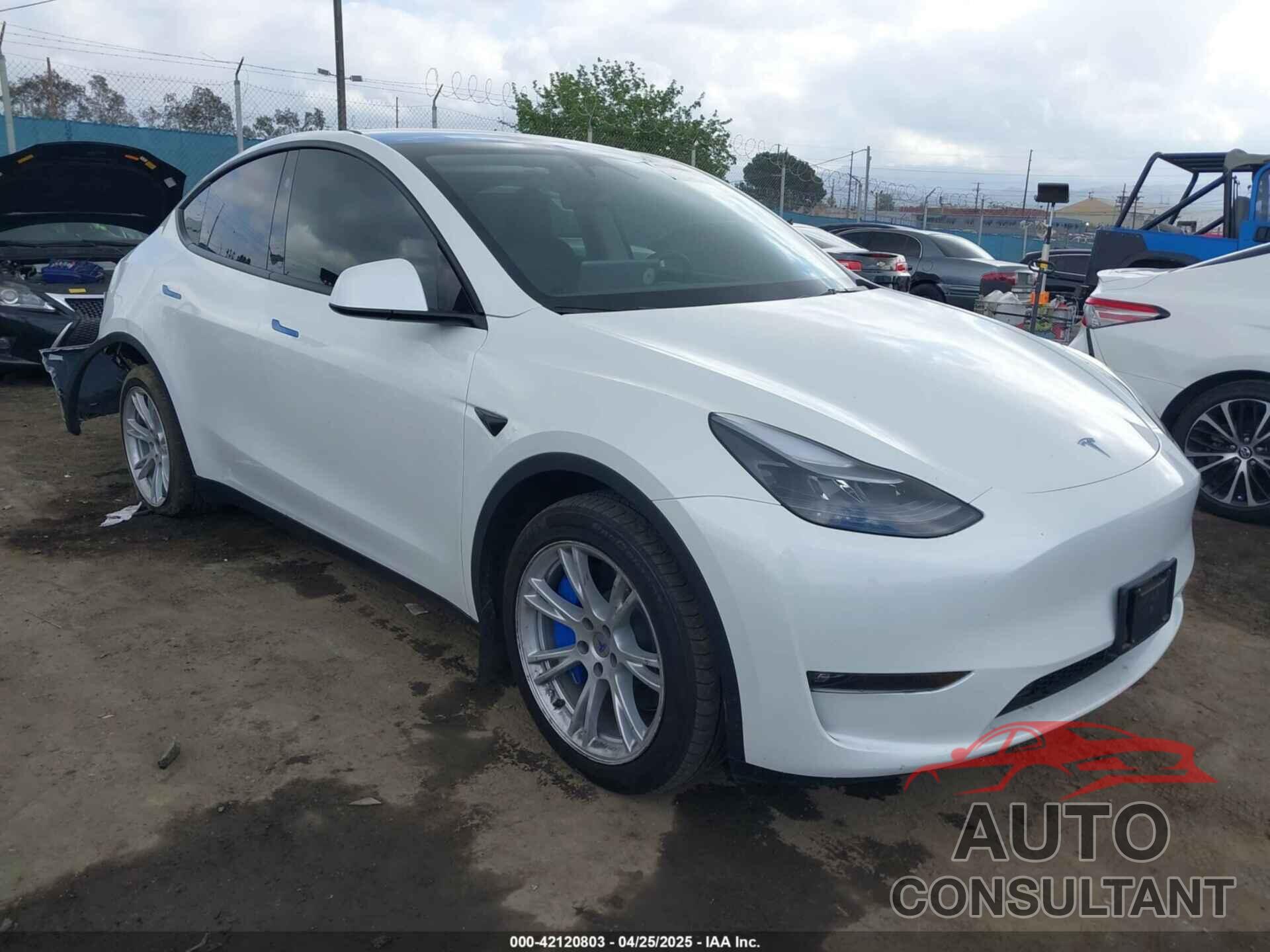 TESLA MODEL Y 2024 - 7SAYGDEE5RF036018
