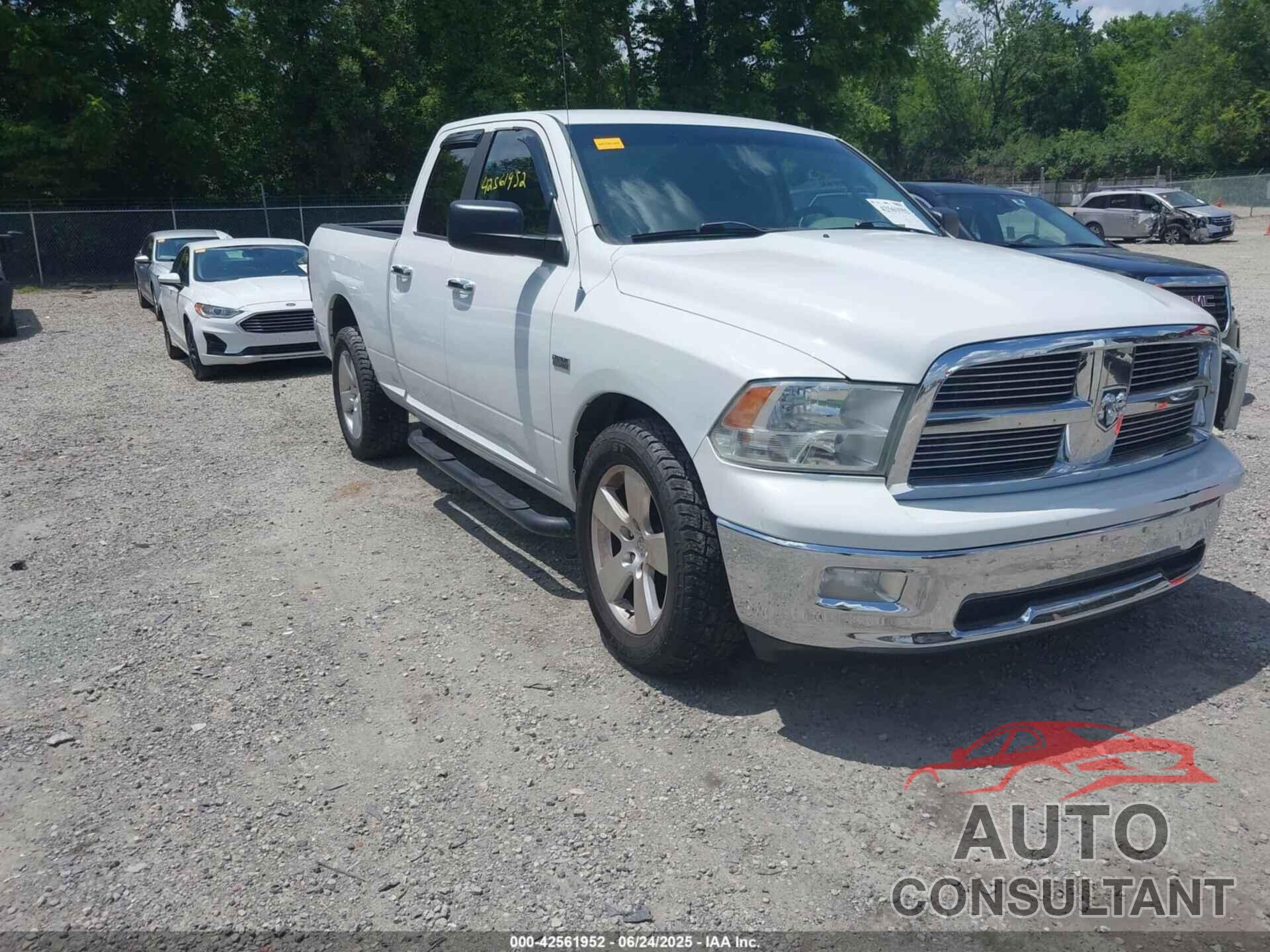 DODGE RAM 1500 2010 - 1D7RB1GT2AS190354