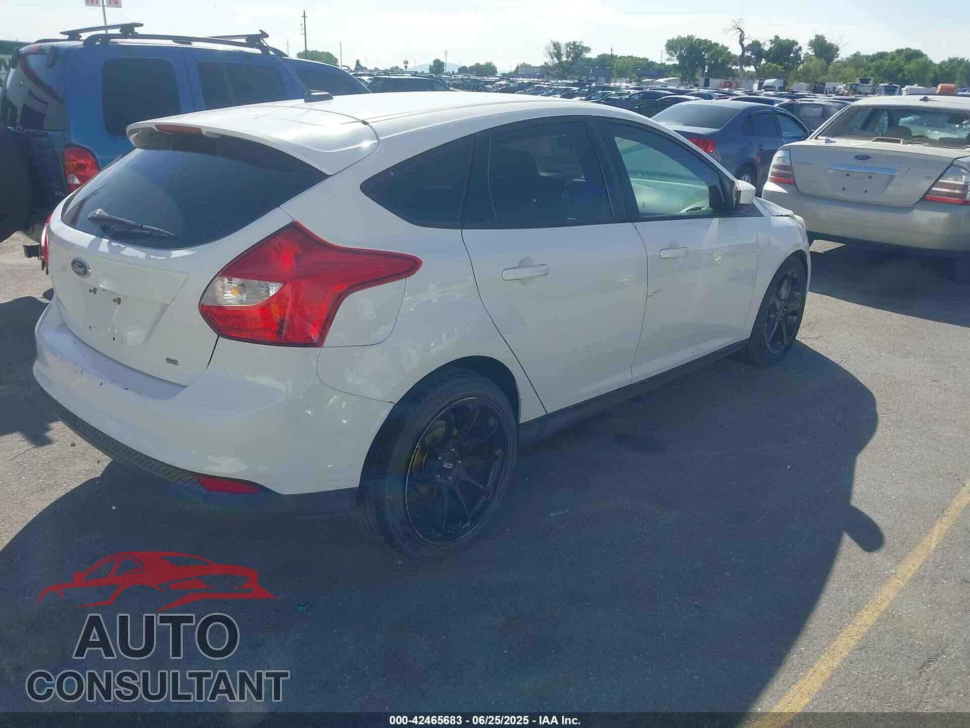 FORD FOCUS 2012 - 1FAHP3K20CL258655