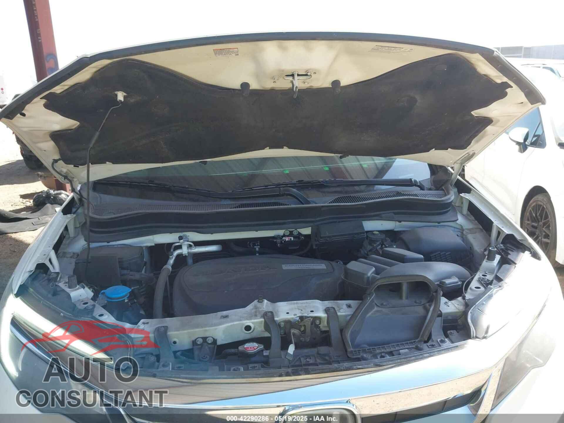 HONDA PILOT 2019 - 5FNYF6H52KB083410