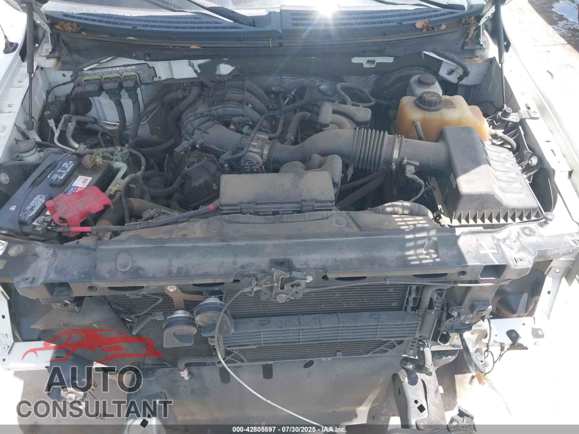 FORD F-150 2013 - 1FTEX1CM8DFD55460