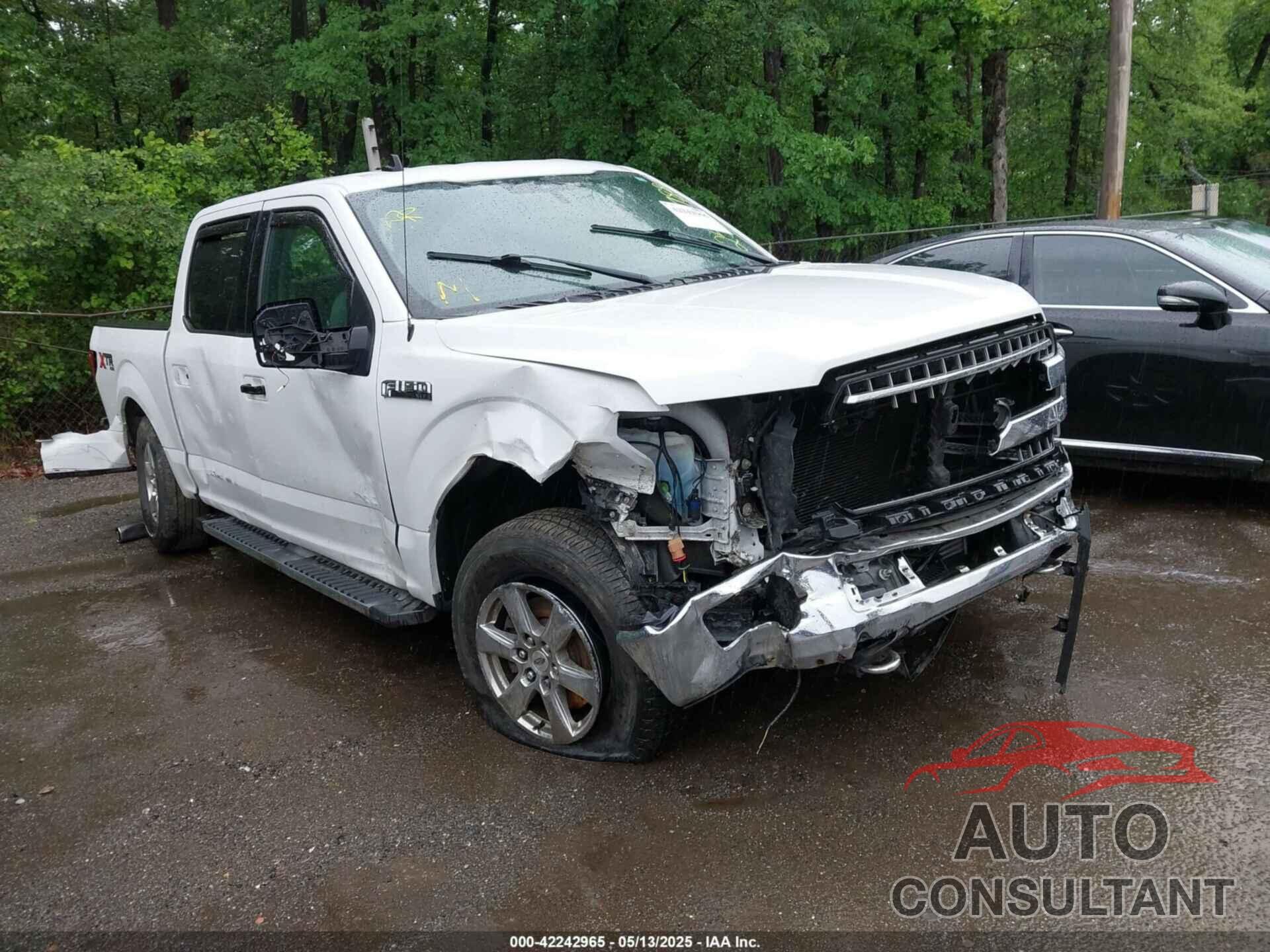 FORD F-150 2019 - 1FTEW1EP1KFA98133