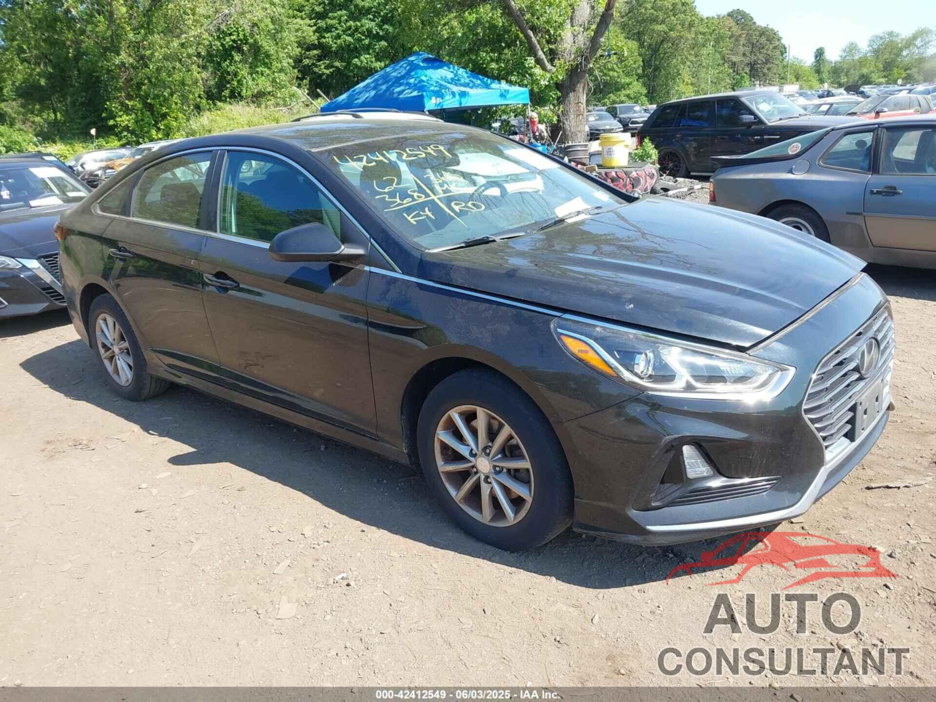 HYUNDAI SONATA 2019 - 5NPE24AF5KH758089
