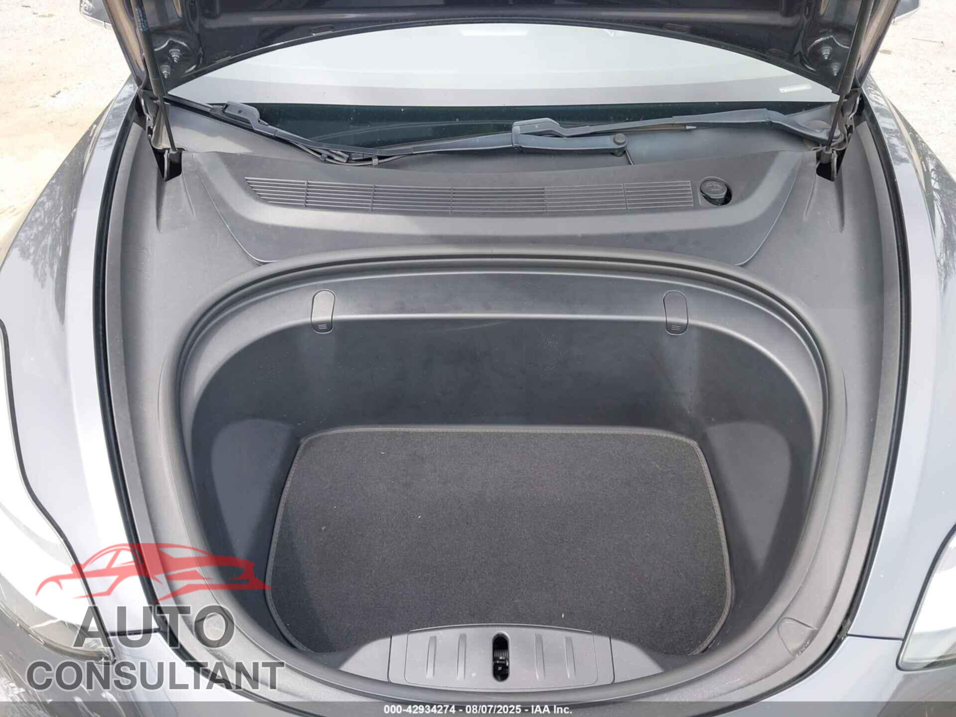 TESLA MODEL 3 2019 - 5YJ3E1EB3KF389199