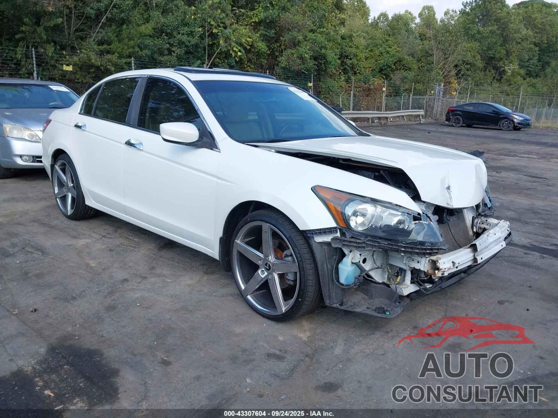 HONDA ACCORD 2010 - 5KBCP3F86AB010916