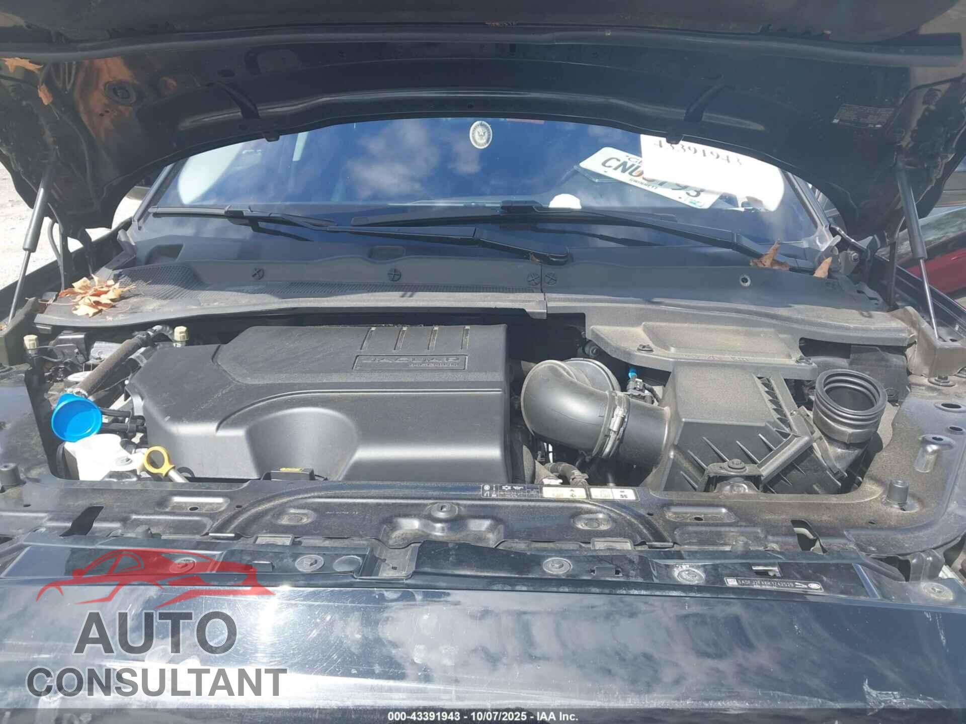 JAGUAR E-PACE 2019 - SADFJ2FX6K1Z42529