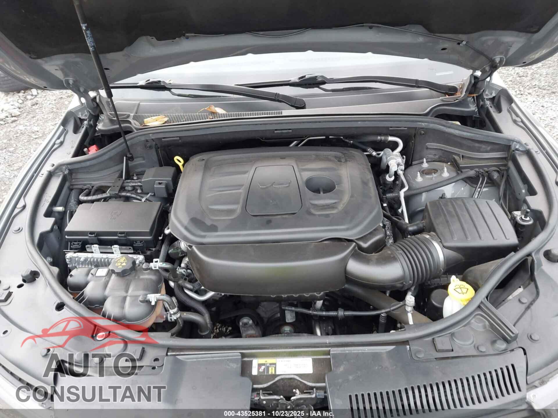 DODGE DURANGO 2019 - 1C4RDJDGXKC827966