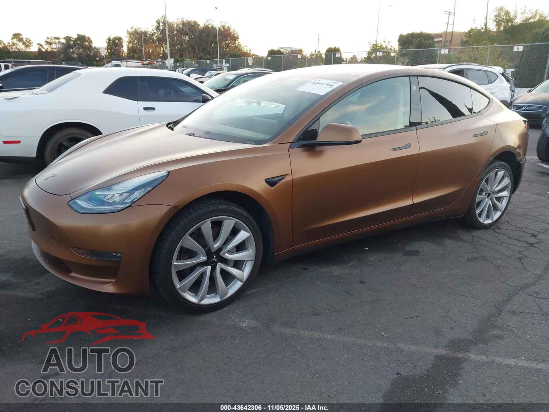 TESLA MODEL 3 2019 - 5YJ3E1EA2KF301203